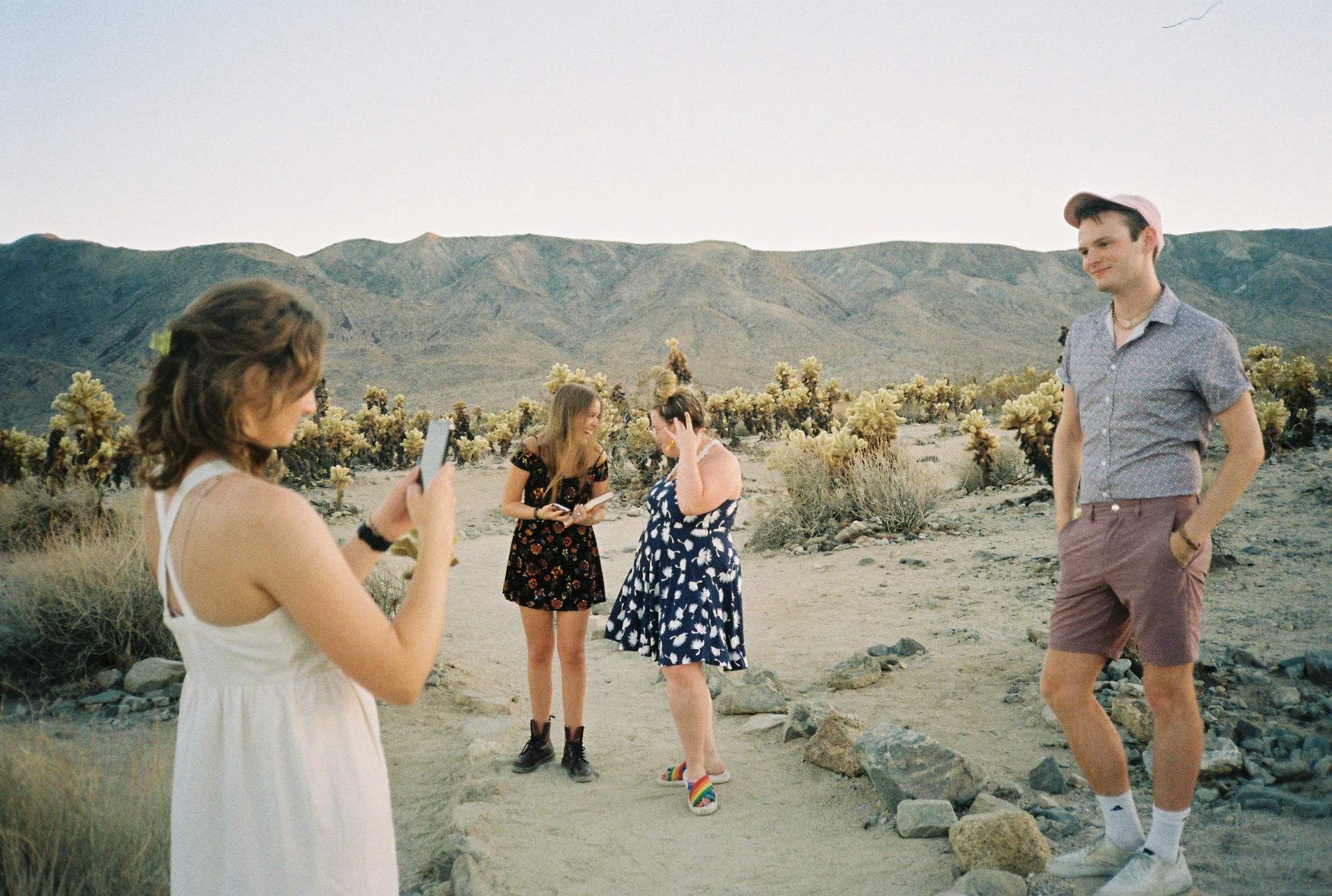 BT85-people-standing-in-joshua-tree.jpg