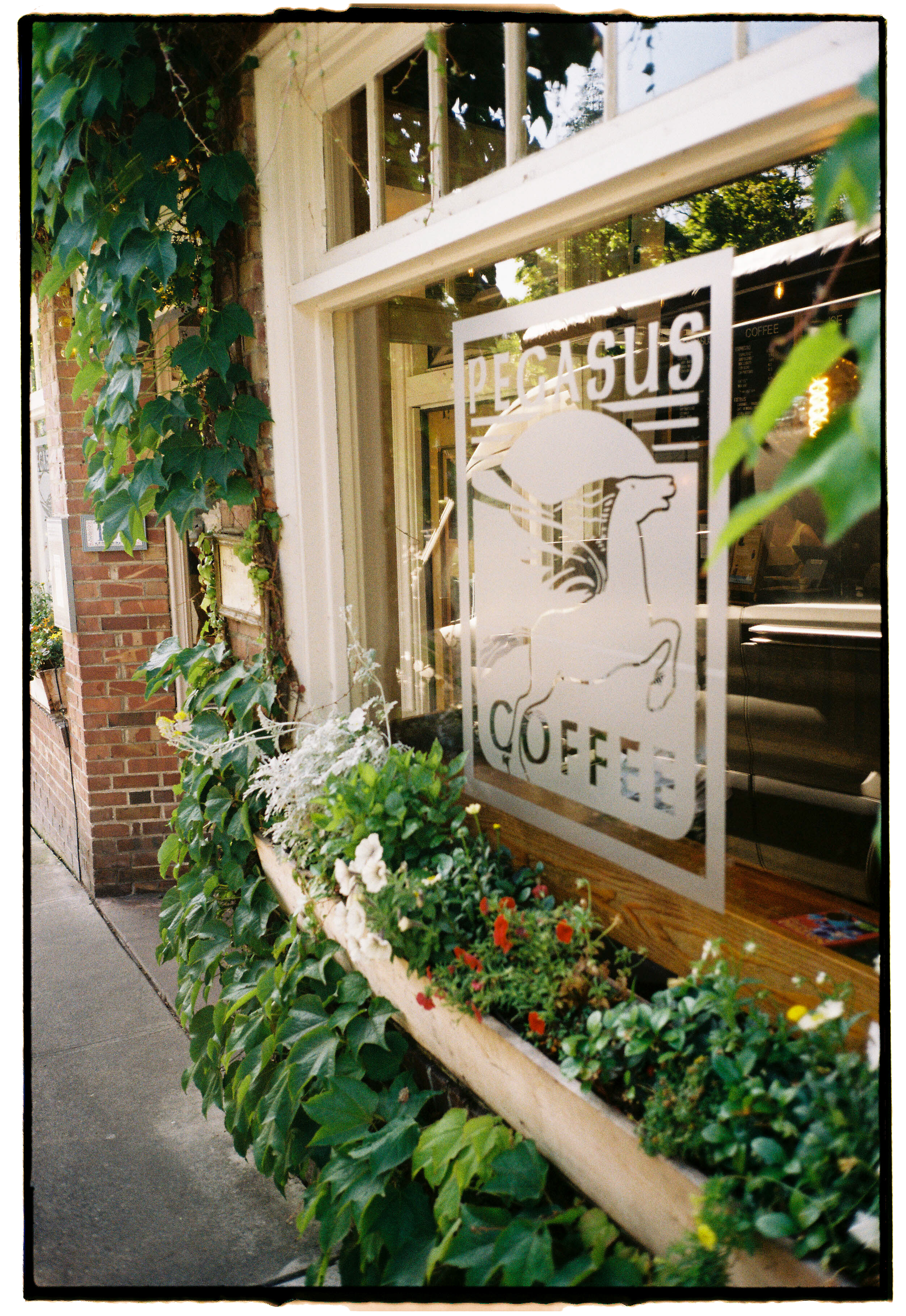pnw210-pegasus-coffee-bainbridge-island-washington.png