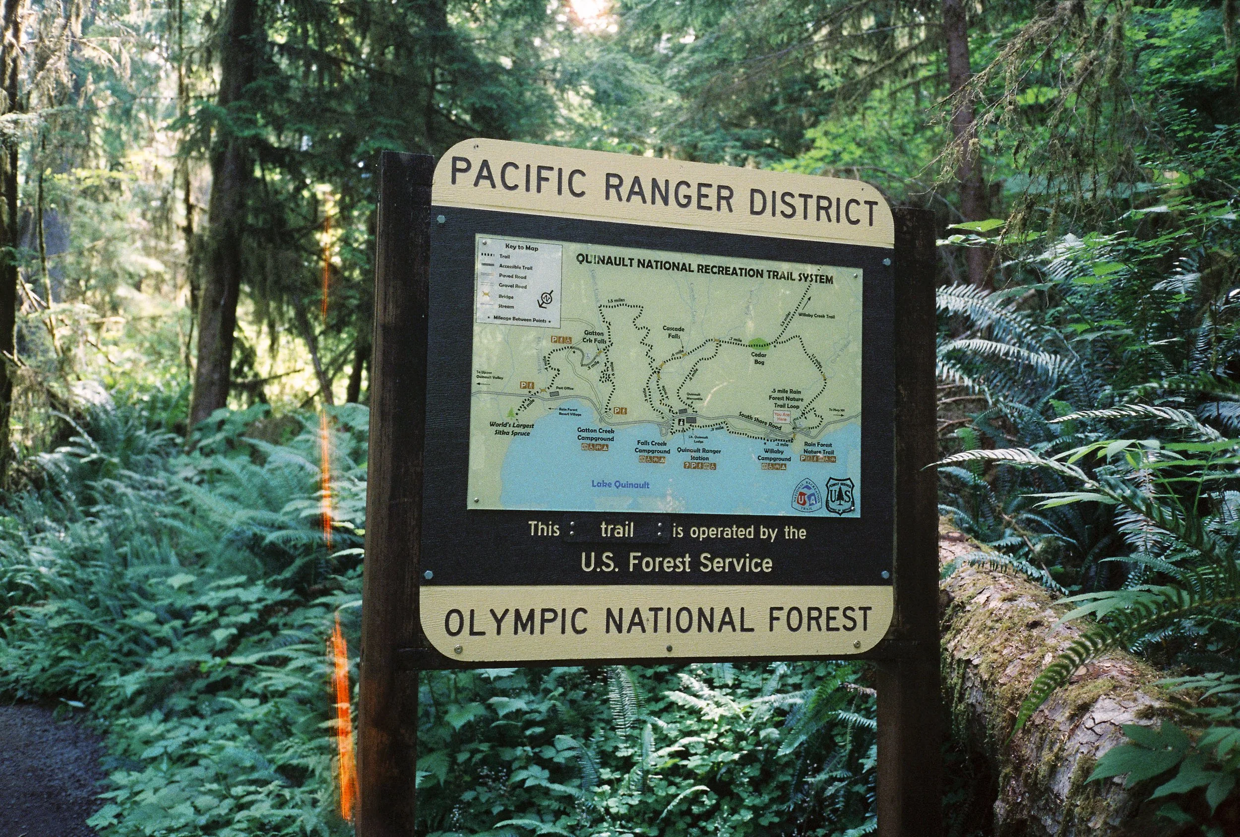 pnw88-olympic-national-forest-sign-quinault-washington.jpg