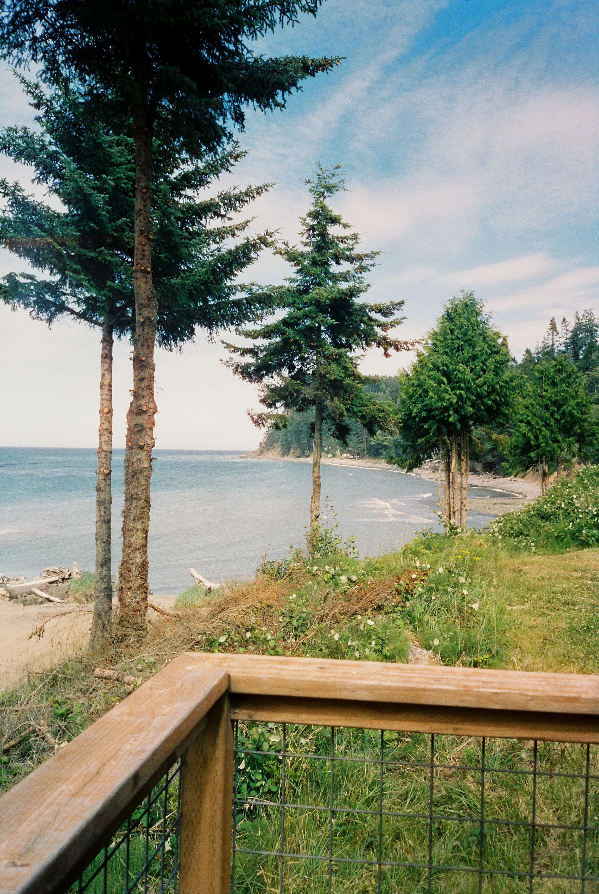 pnw150-trees-by-water-blue-sky.jpg