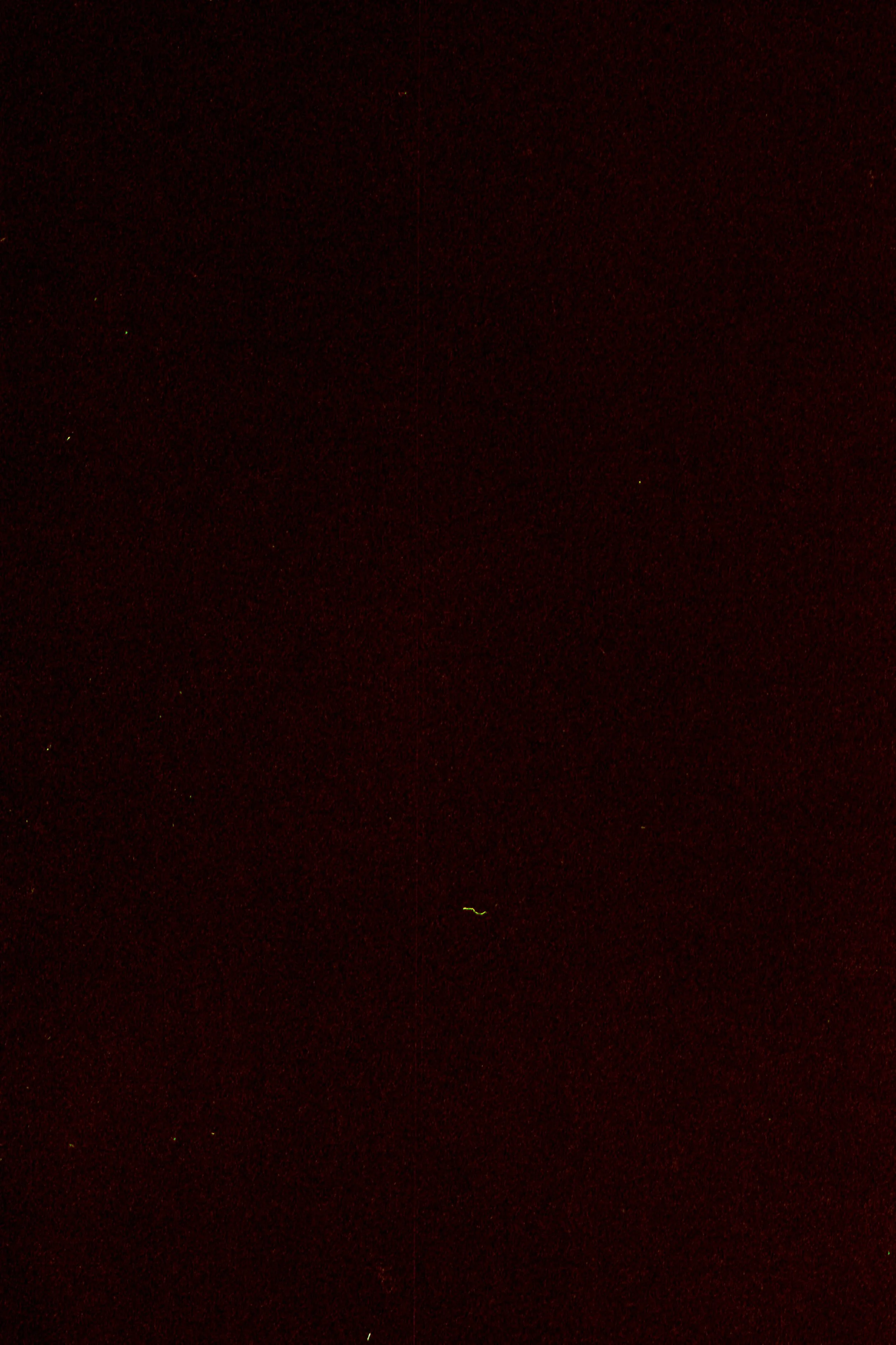 week-40-black-with-grain.jpg