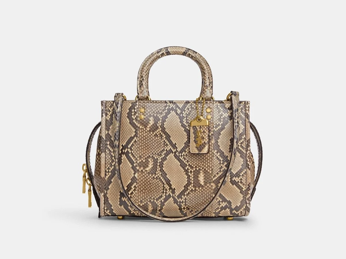 Coach Rogue Bag 25 in Snakeskin, $2,500 at Coach