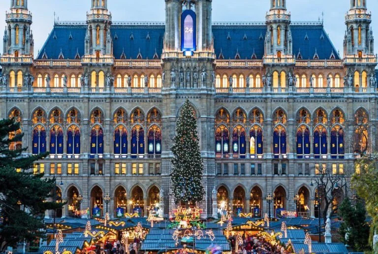 Vienna1-2-768x516.jpg