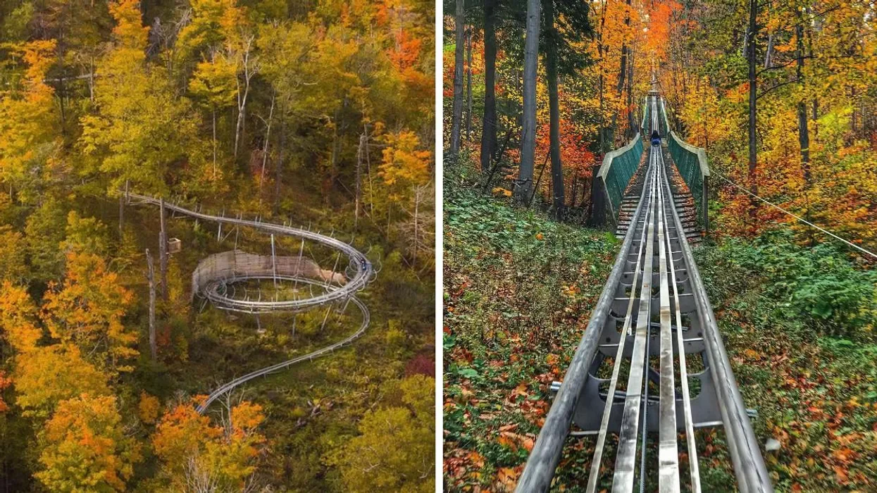 Split view of an amusement park ride and a forest walkway. The left side shows a wooden winding drop tower surrounded by autumn-colored trees. The right side shows a narrow rail track descending through a forested area with fall foliage.