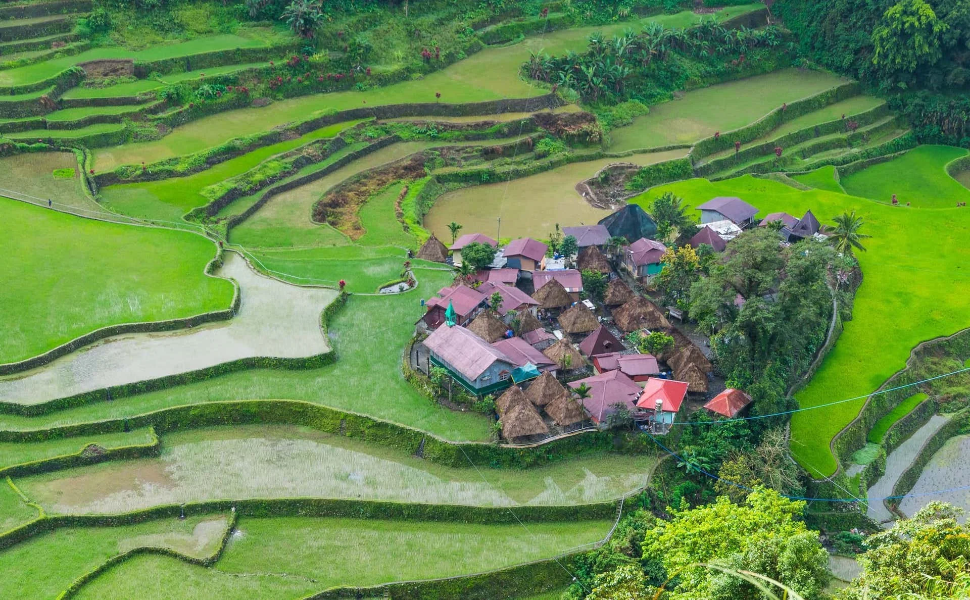 Aerial view of a village surrounded by rice terraces in a lush green landscape.