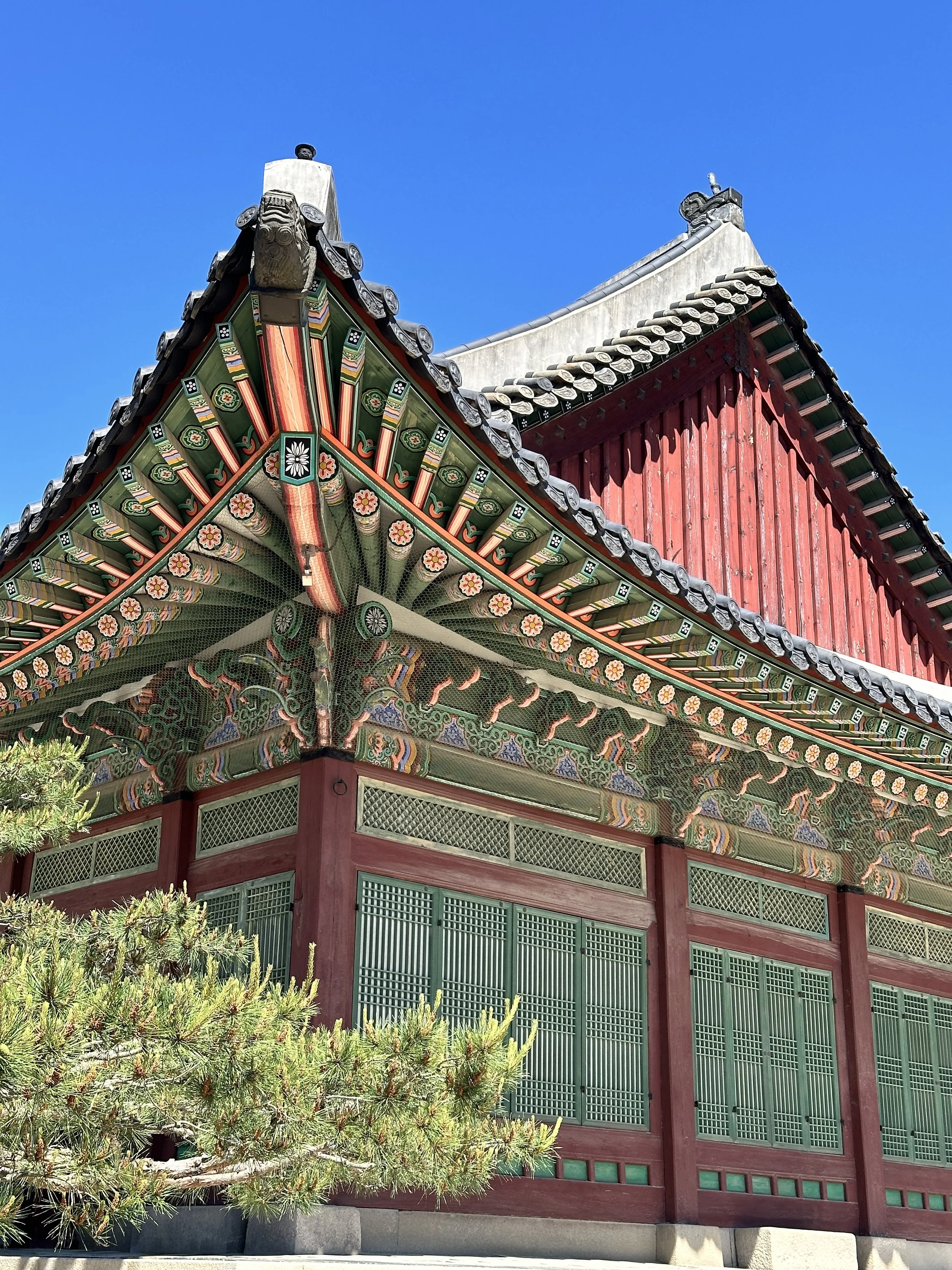 Travel Now, Adult Later | Just Because Gift Card