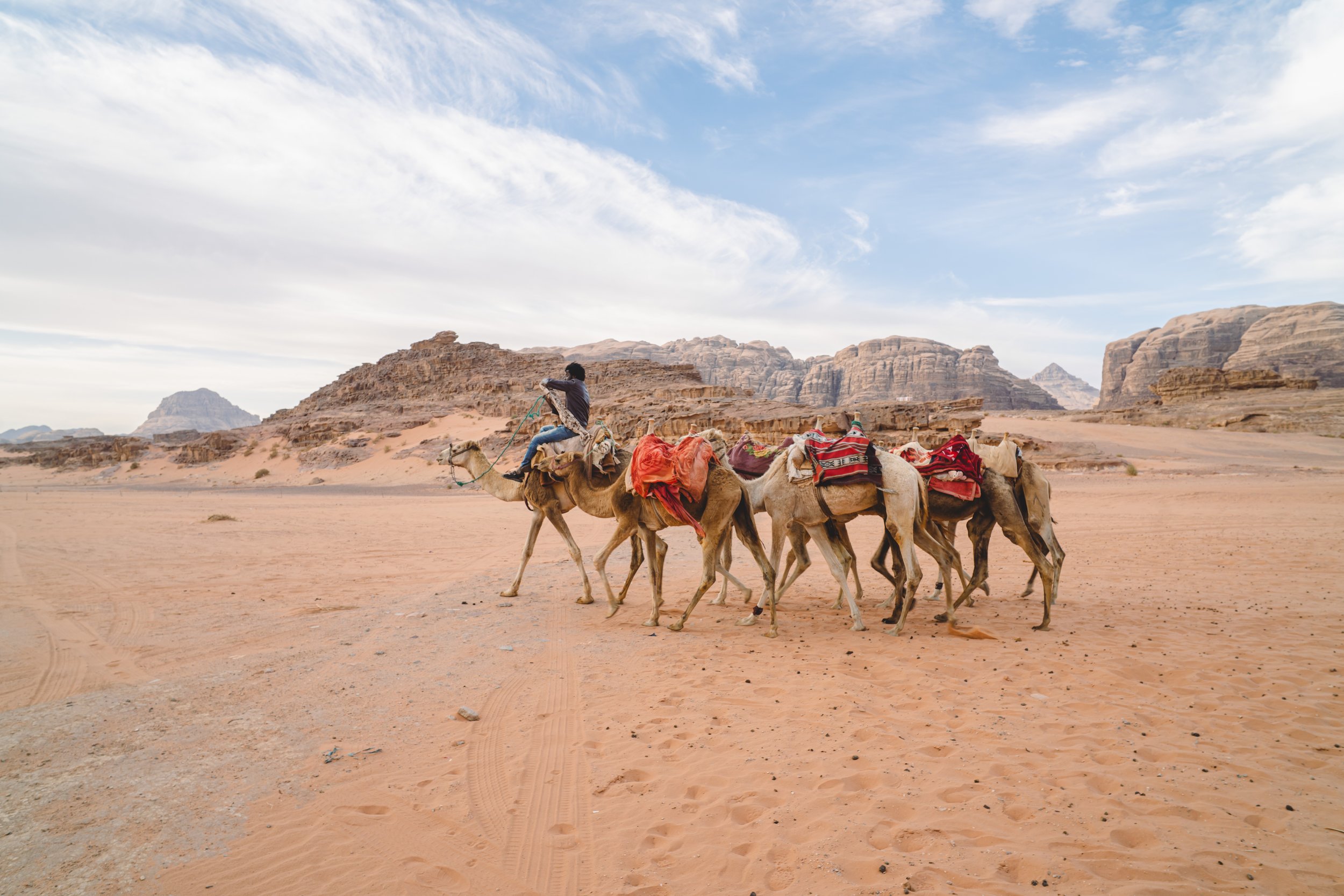 A person riding a camel leads a caravan of camels across a desert landscape with rocky formations and blue sky in the background.
