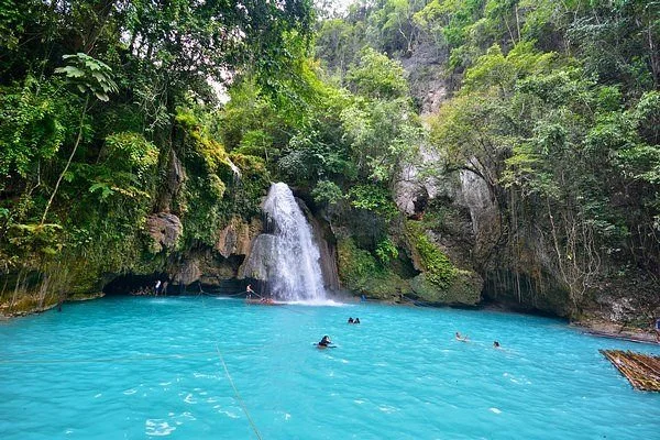 A tropical waterfall flowing into a bright blue pool surrounded by lush green trees.