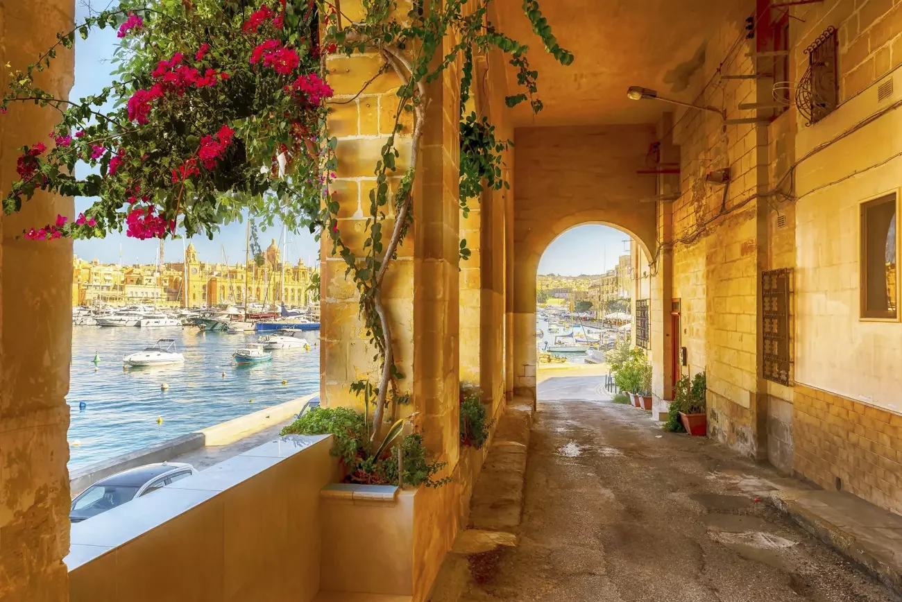 A narrow alleyway with yellowish stone buildings on the right and a harbor with boats on the left. Pink flowers and green plants are hanging from and growing along the buildings, with playful sunlight creating warm shadows.
