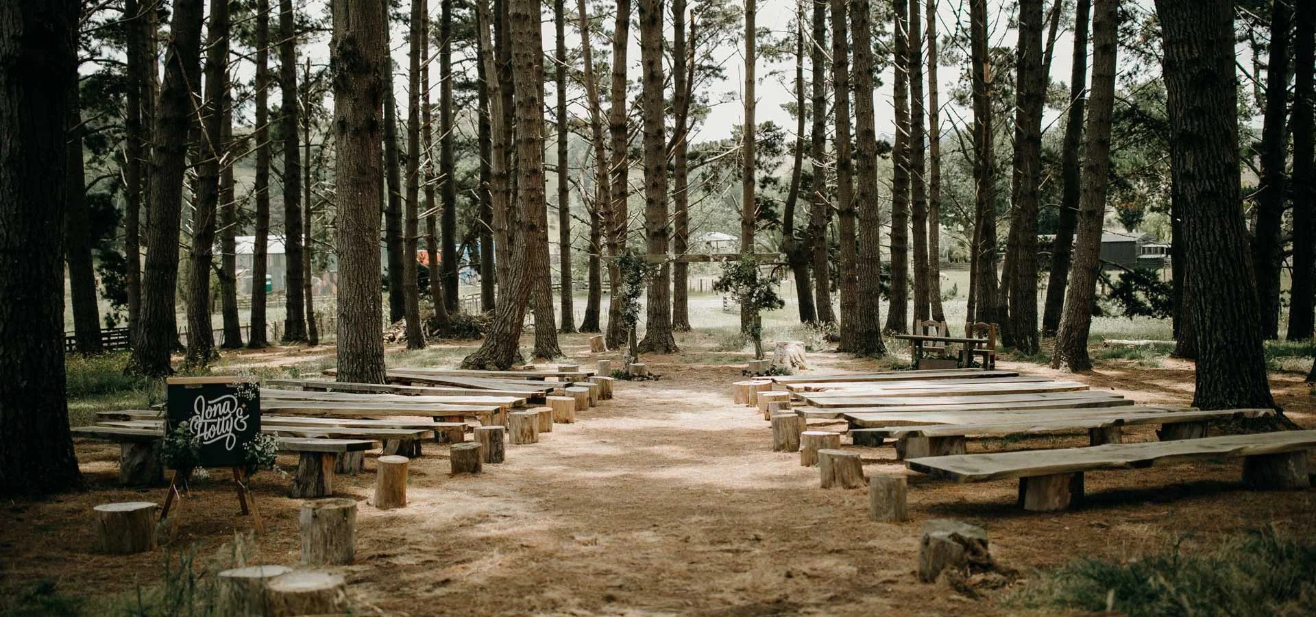 wedding_forest.jpg