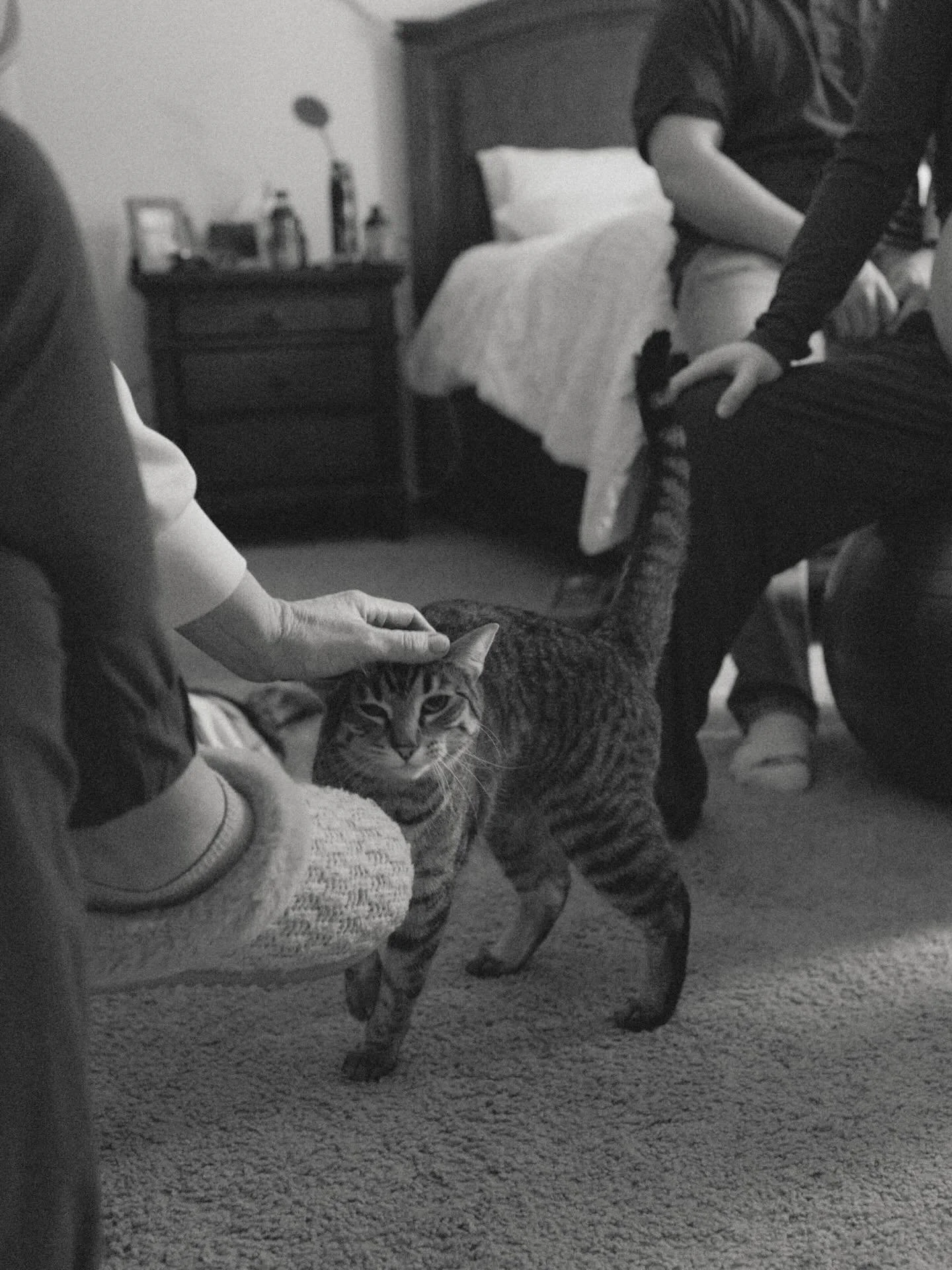 What do I love about photography?
I love capturing the details that often get overlooked or never seen. For me, every session tells a story. Some are deeper than others, but they are all stories nonetheless. So to understand photography, I must first