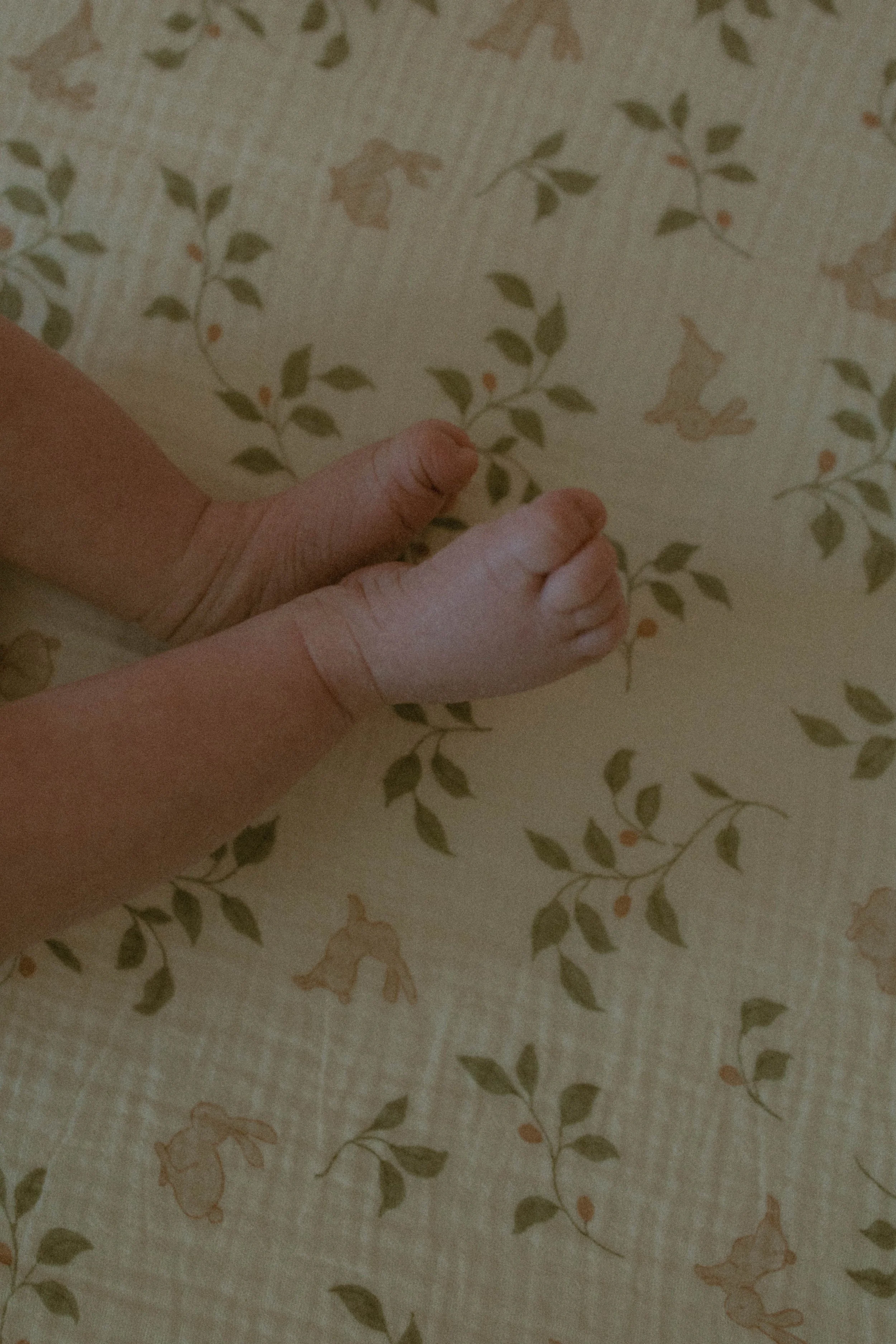 newborn-photography-fairbanks-alaska-conley-co-photography-0368.jpg