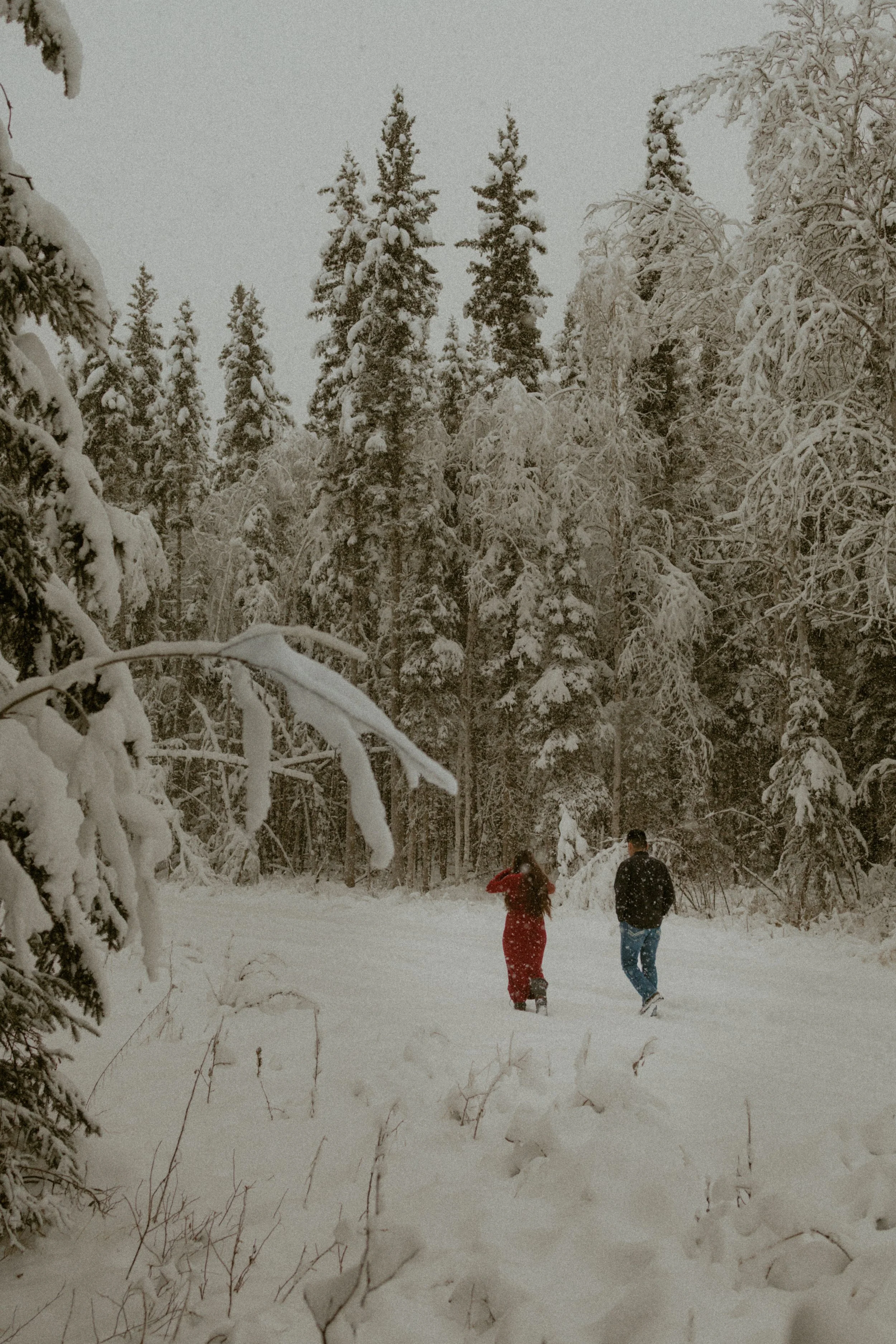 winter-mini-session-fairbanks-alaska-family-photographer-conley-co-photography-1-26.jpg