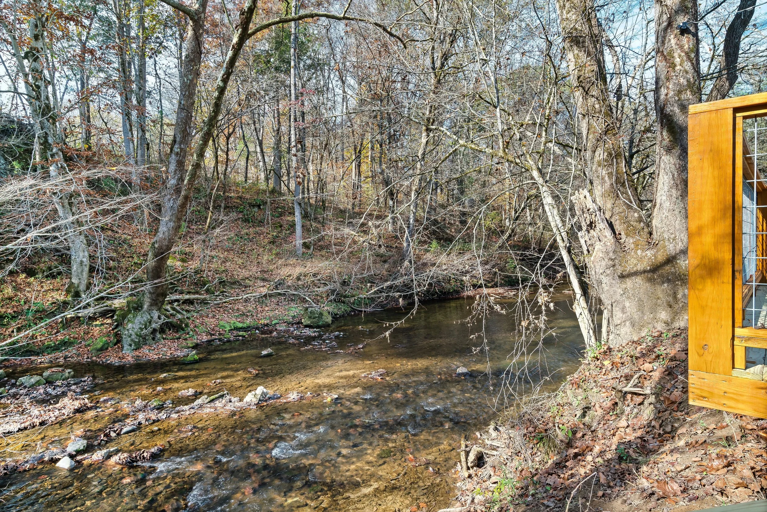 Firepit- Container.jpeg