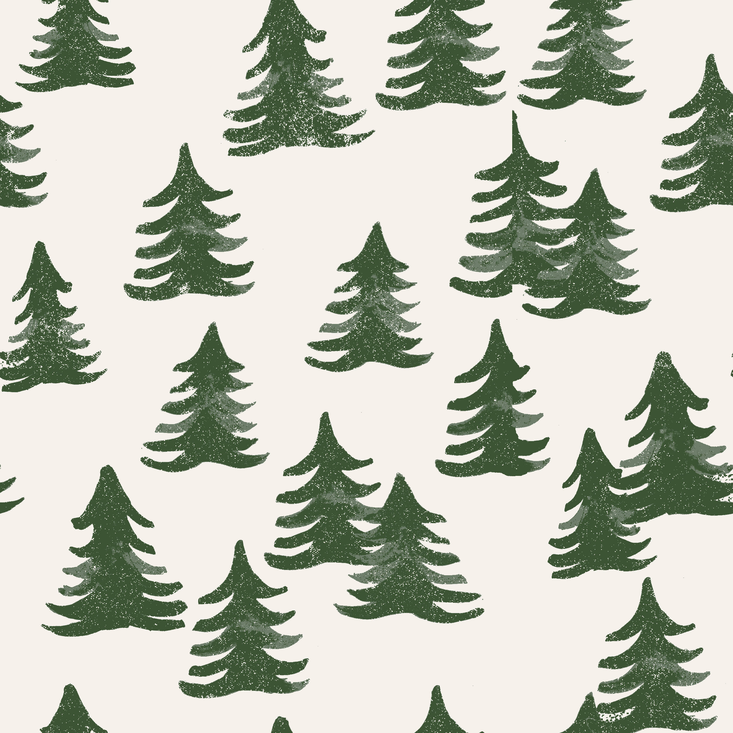 IMG_8211 copy.png