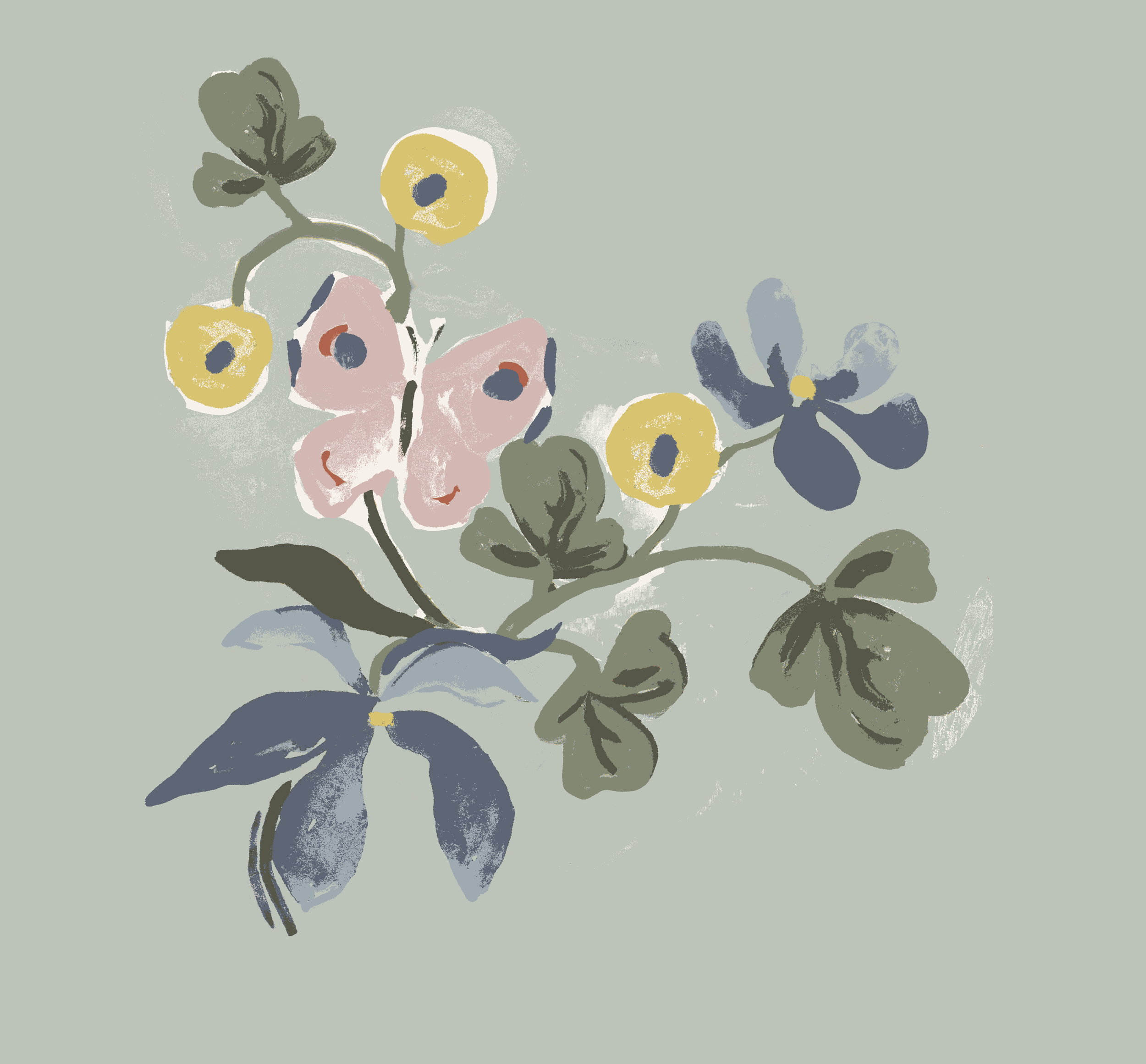 IMG_7641.PNG