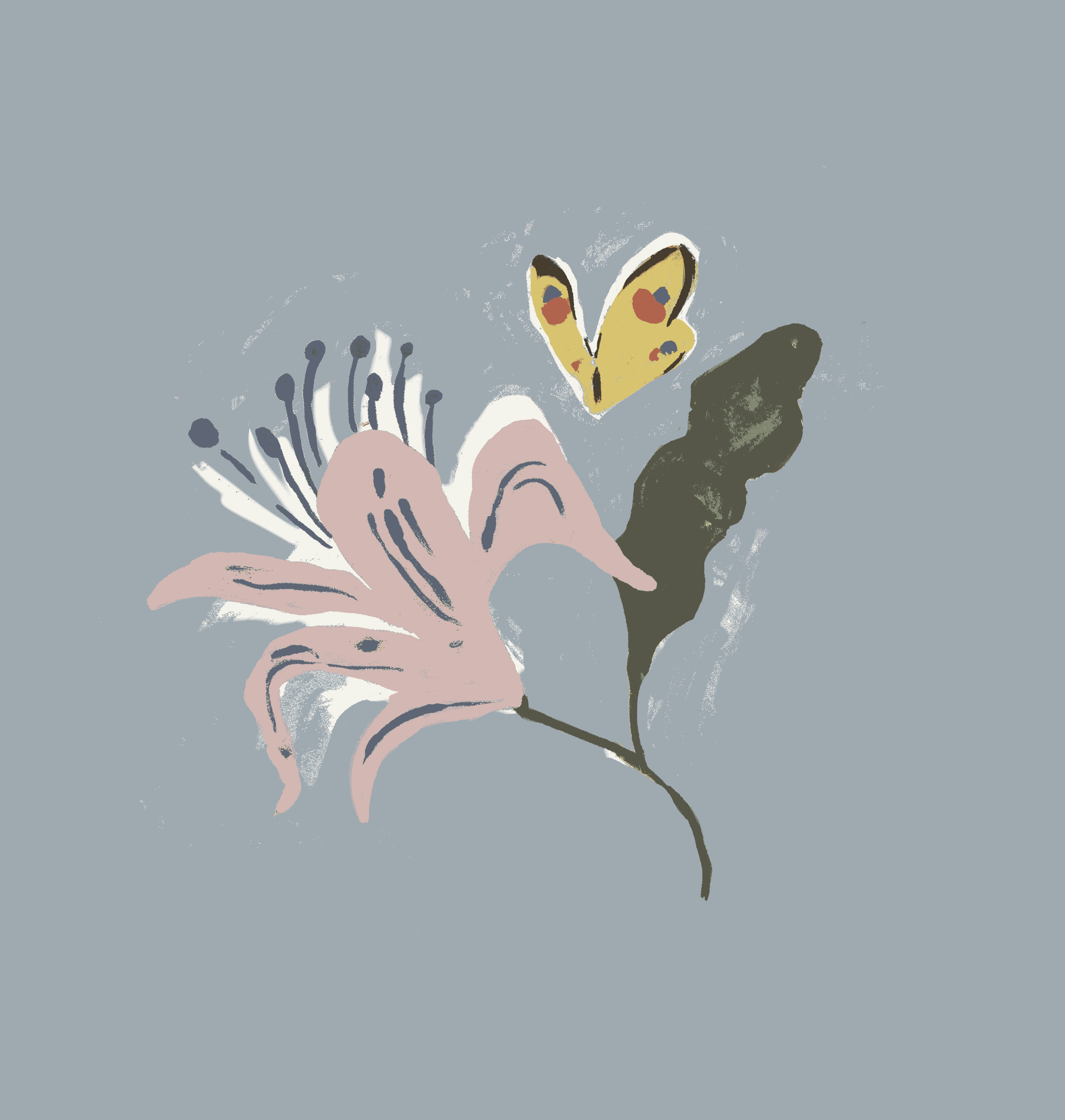 IMG_7642.PNG