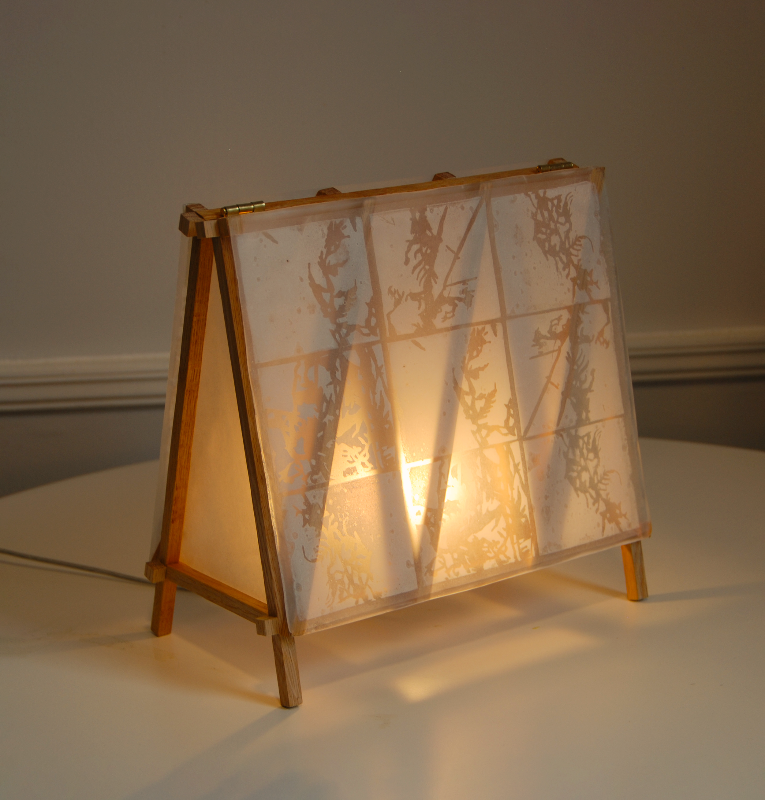 DSC_0164 vibrant2.png