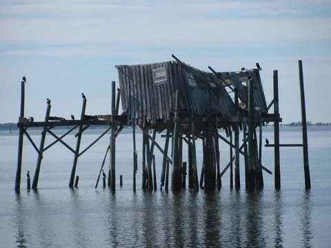 Gulf Coast Cabin