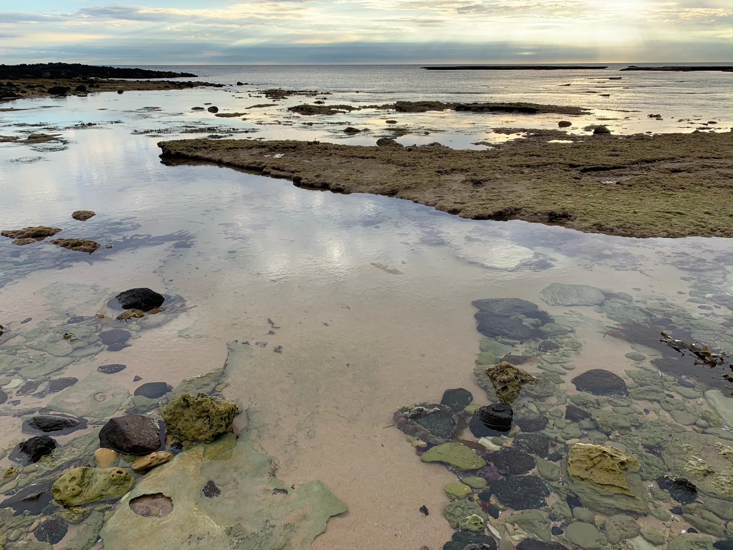 Cabin Cape Schanck Gift Card