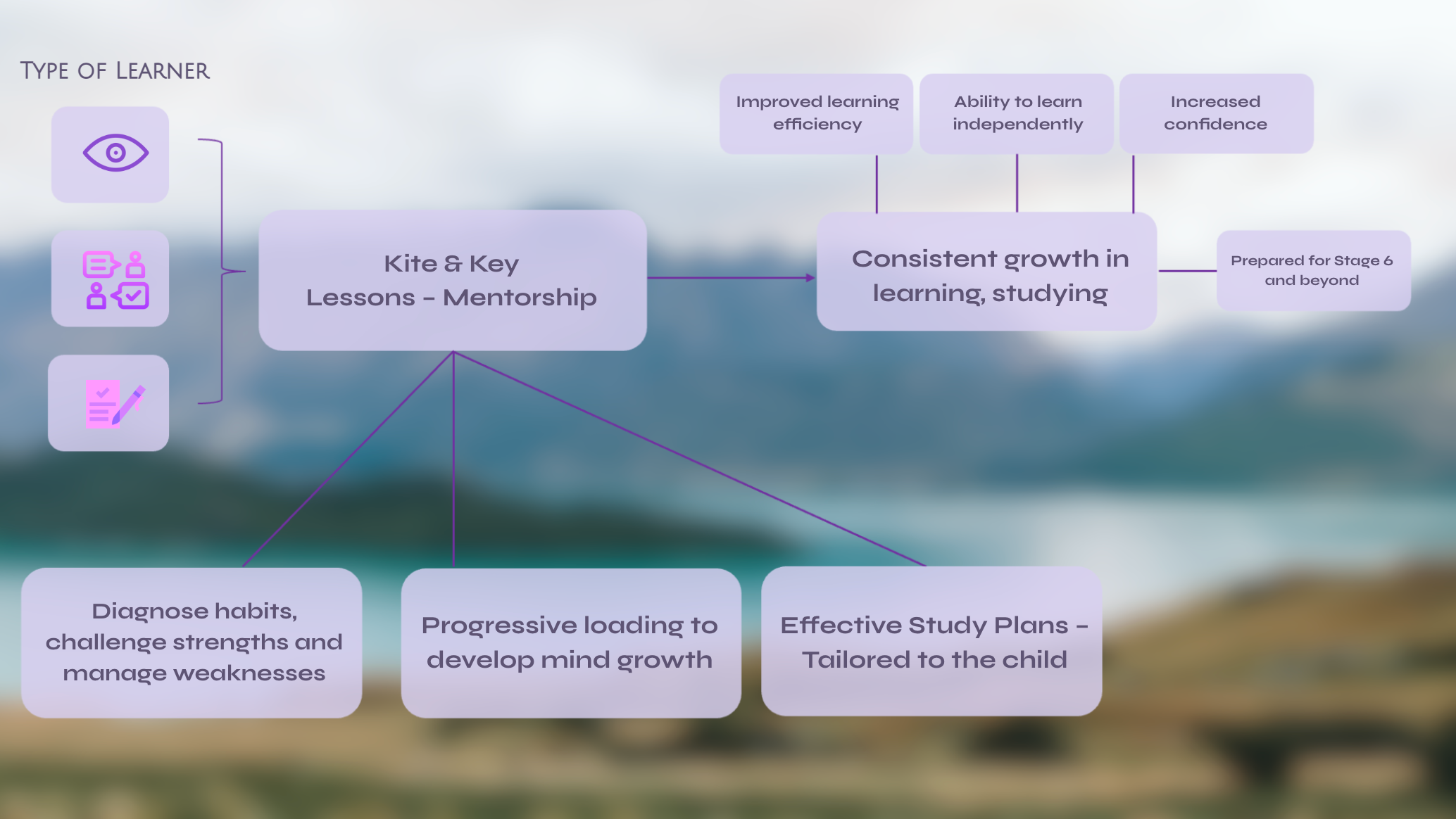 Flowchart titled 'Type of Learner' showing key lessons and benefits, including icons of an eye, people with a checkmark, and a checklist, with topics like mentorship, study plans, and growth.