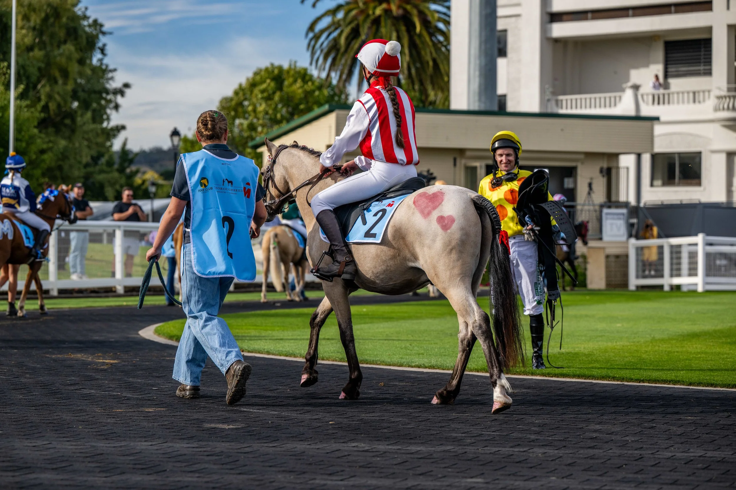 Pony Racing, Small Pony, Mounting Yard_21-02-25, Launceston Oaks Day,  Sharon Lee Chapman_1711.jpeg