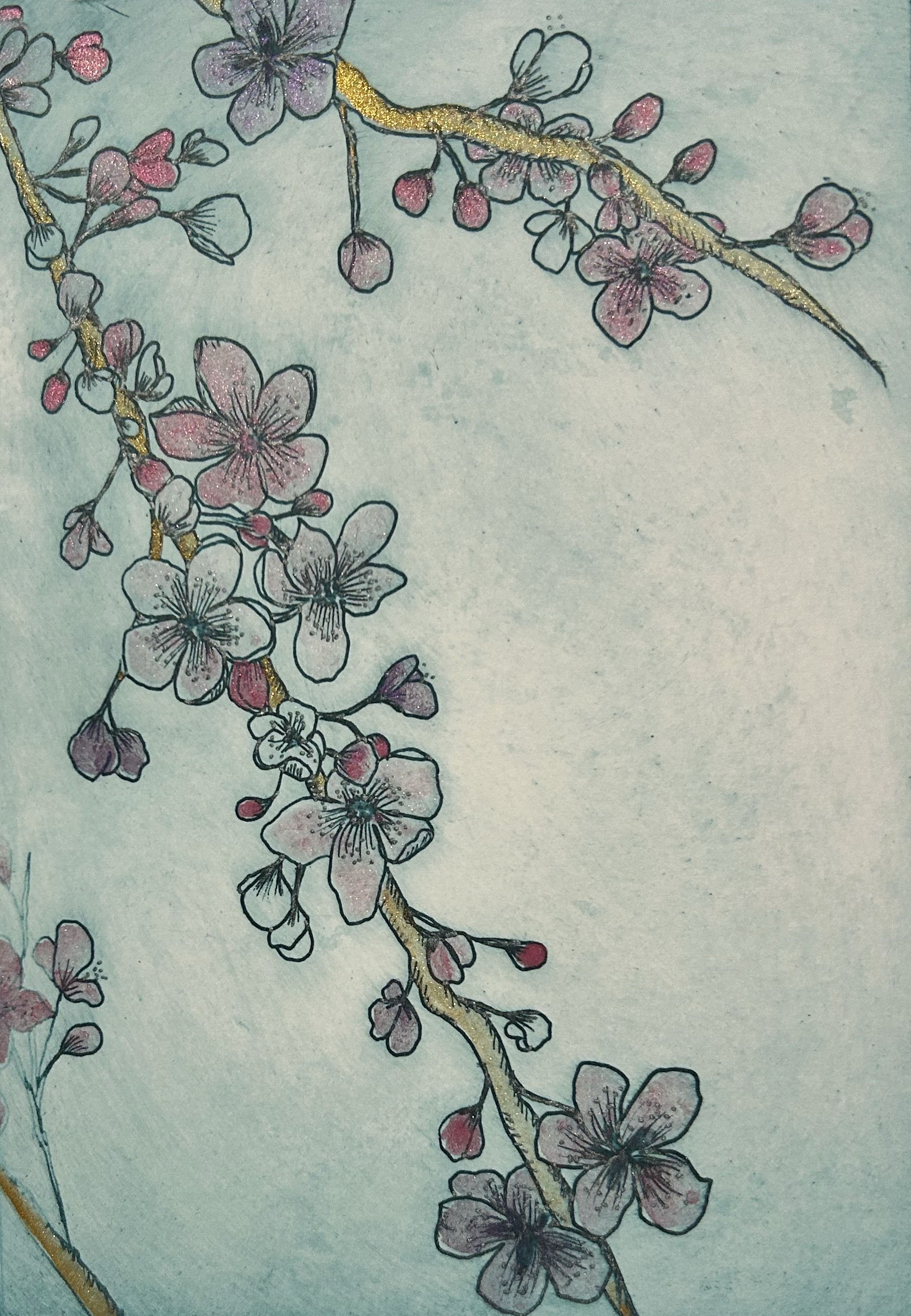Etching of cherry blossom hand coloured with watercolour