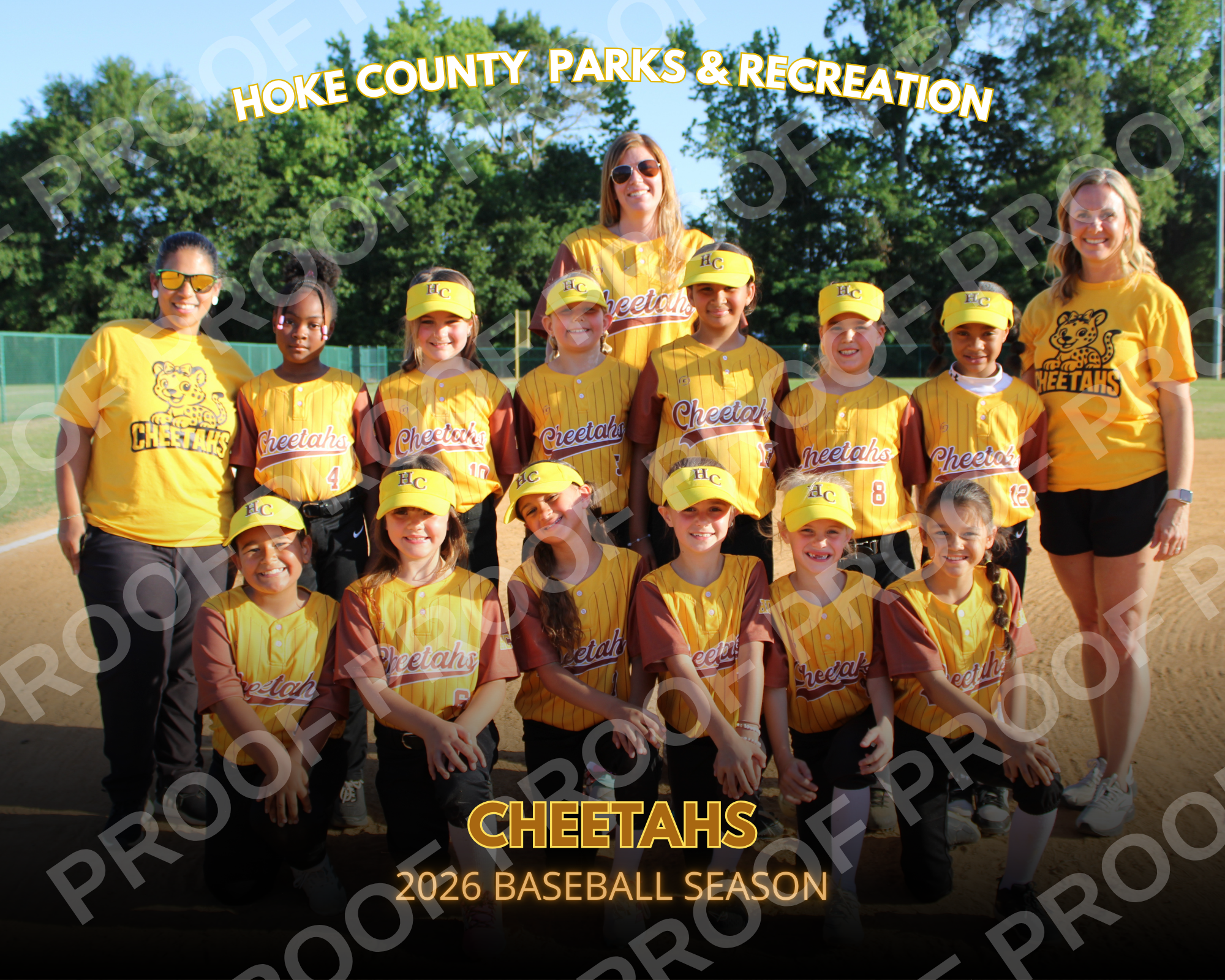 TEAM COBRAS.png