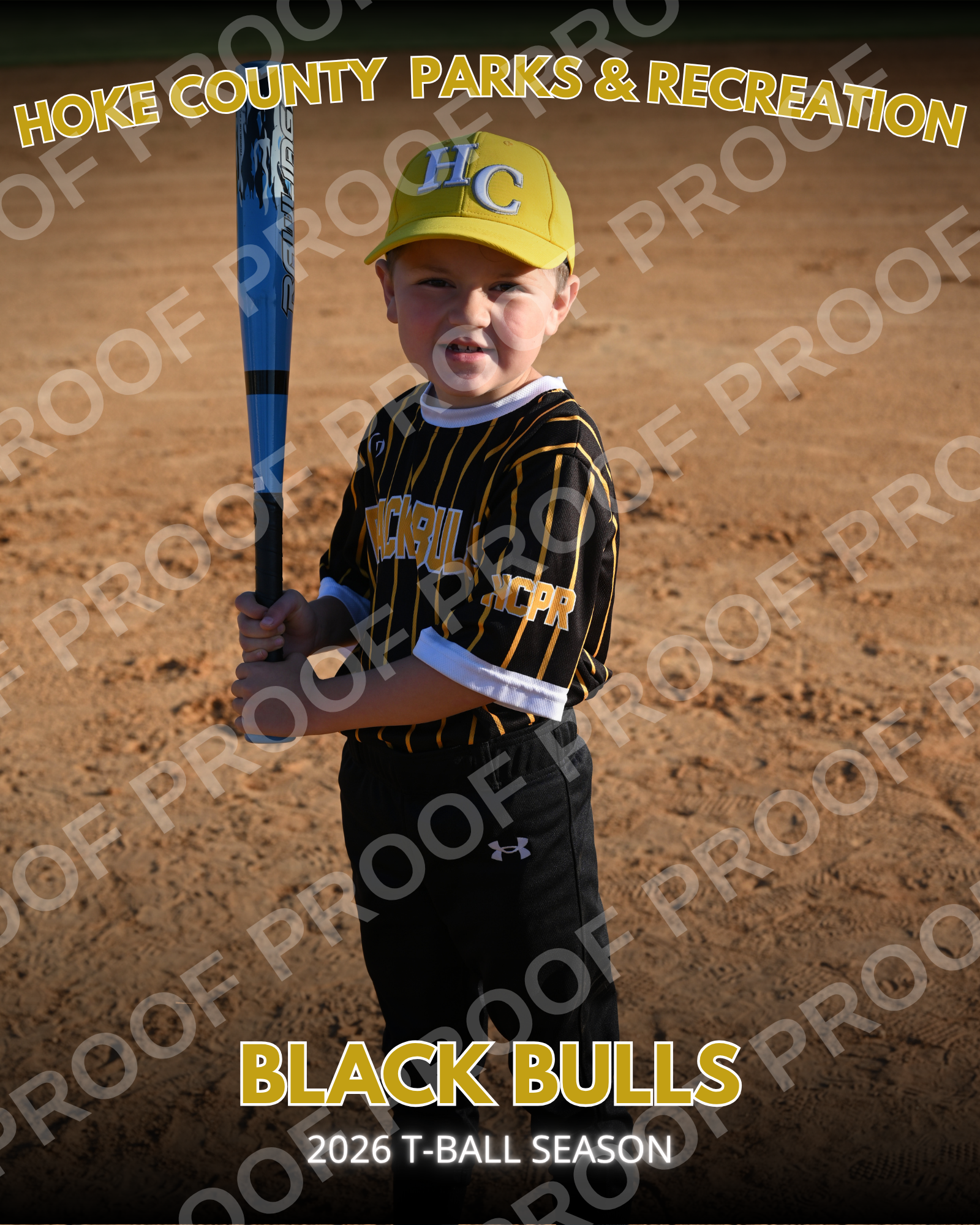 Black Bulls T Ball (7).png