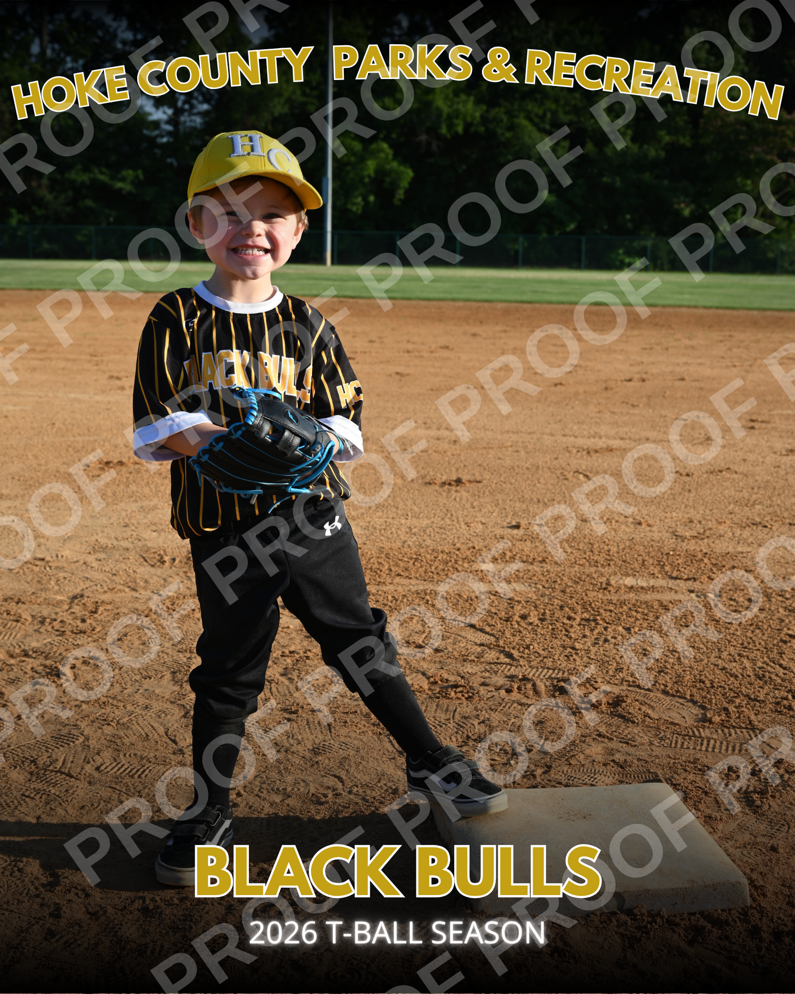 Black Bulls T Ball (17).png