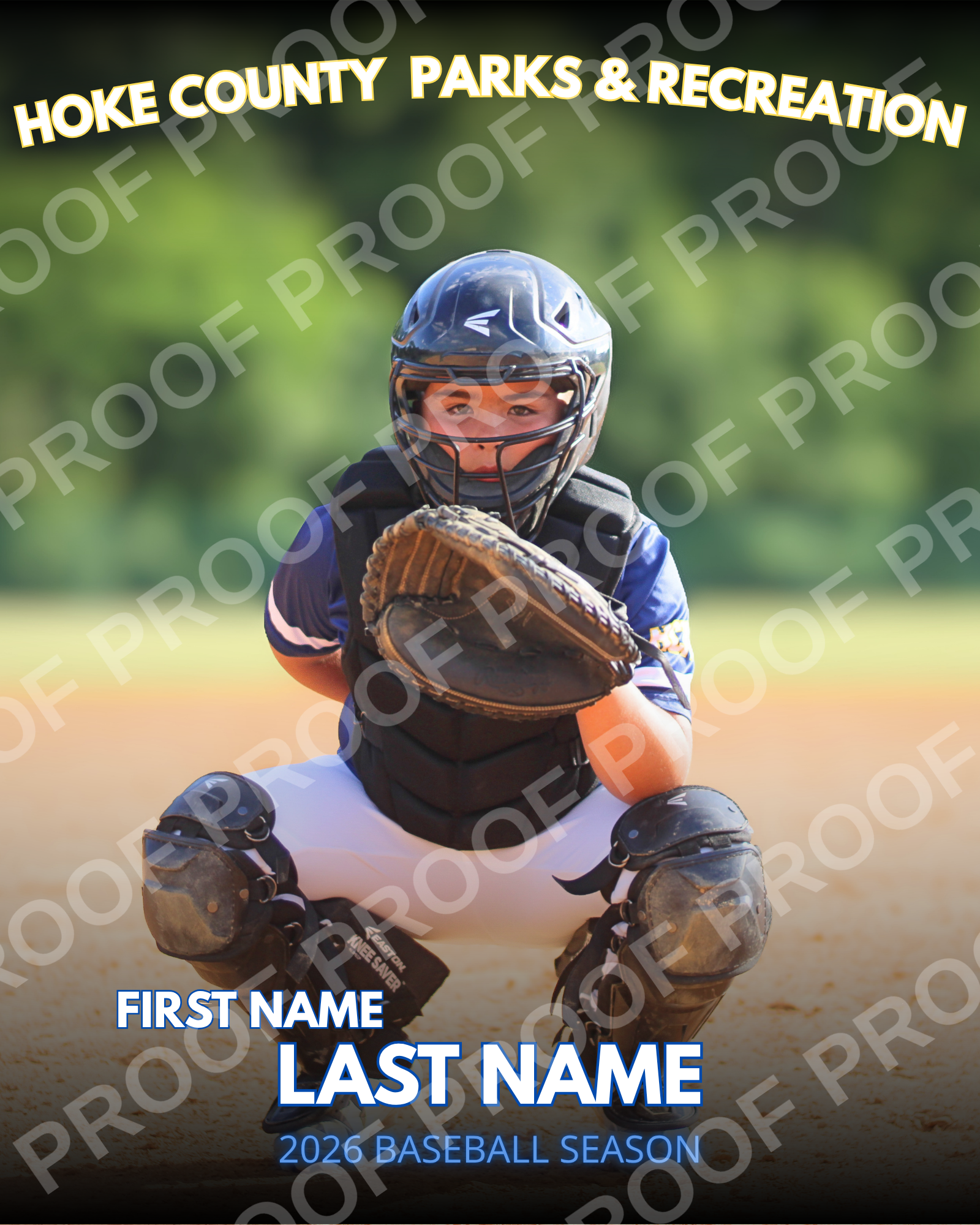 WOLVERINES - 8x10 BASEBALLSOFTBALL DESIGN 12.png