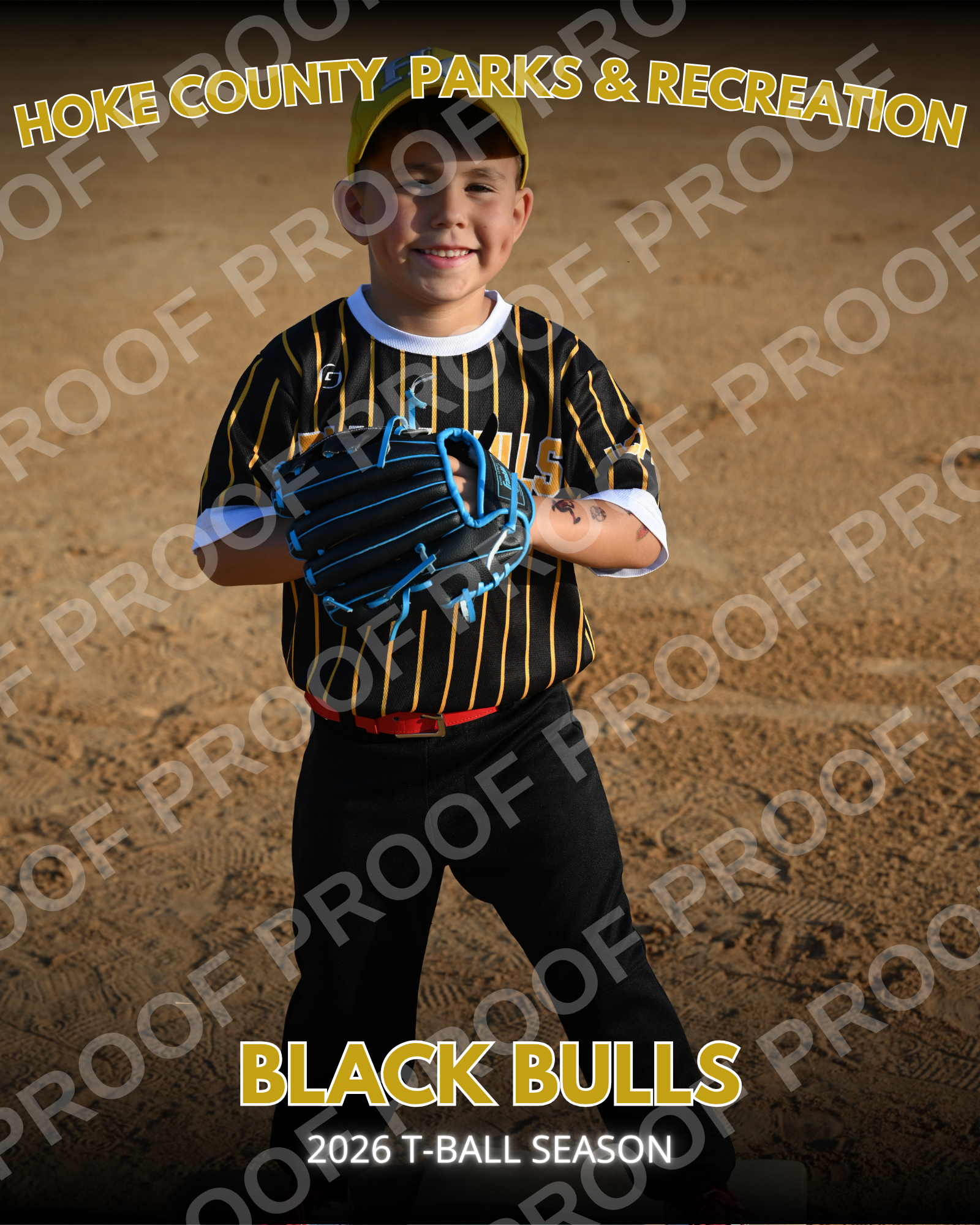 Black Bulls T Ball (1).png