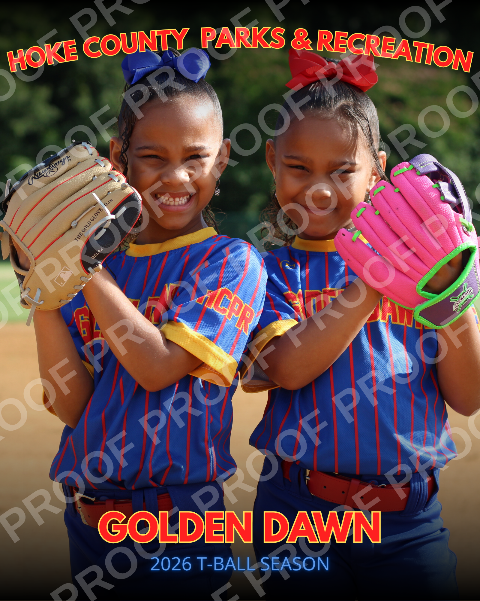t ball (2).png