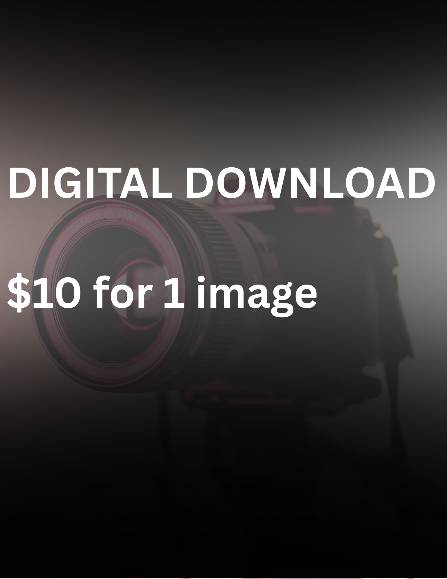 DIGITAL IMAGE