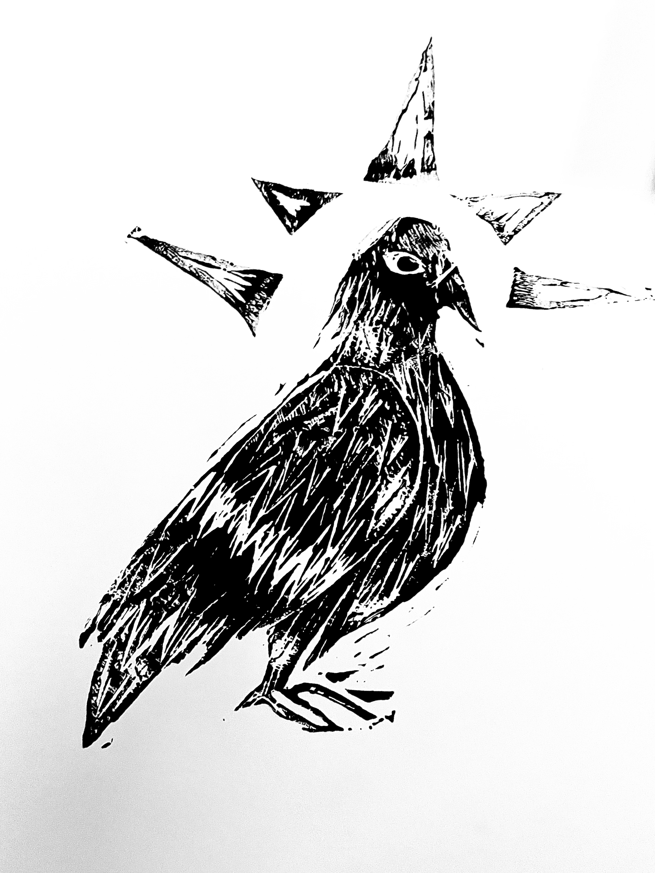 IMG_7719 2.png
