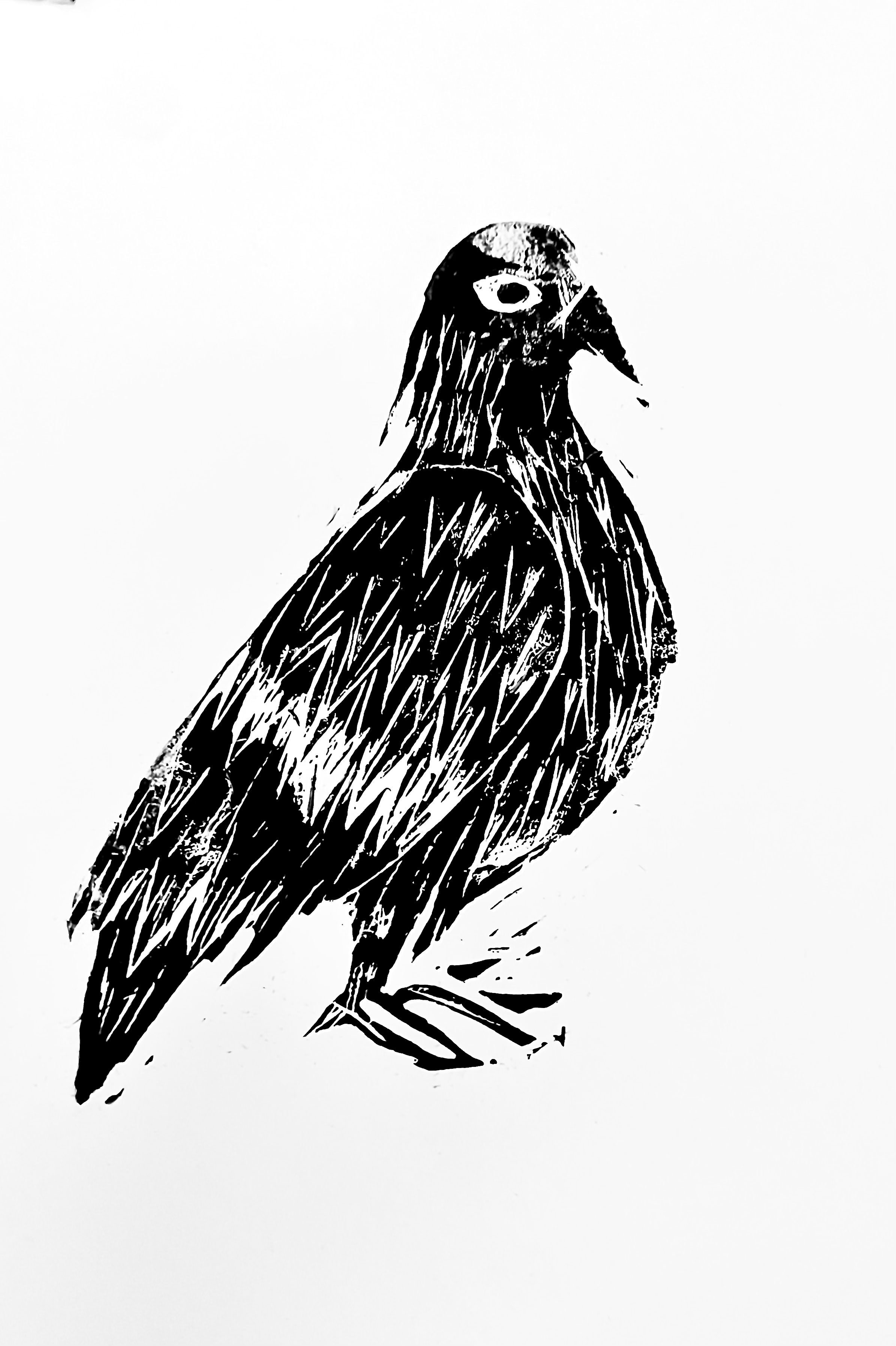 IMG_7720 2.png
