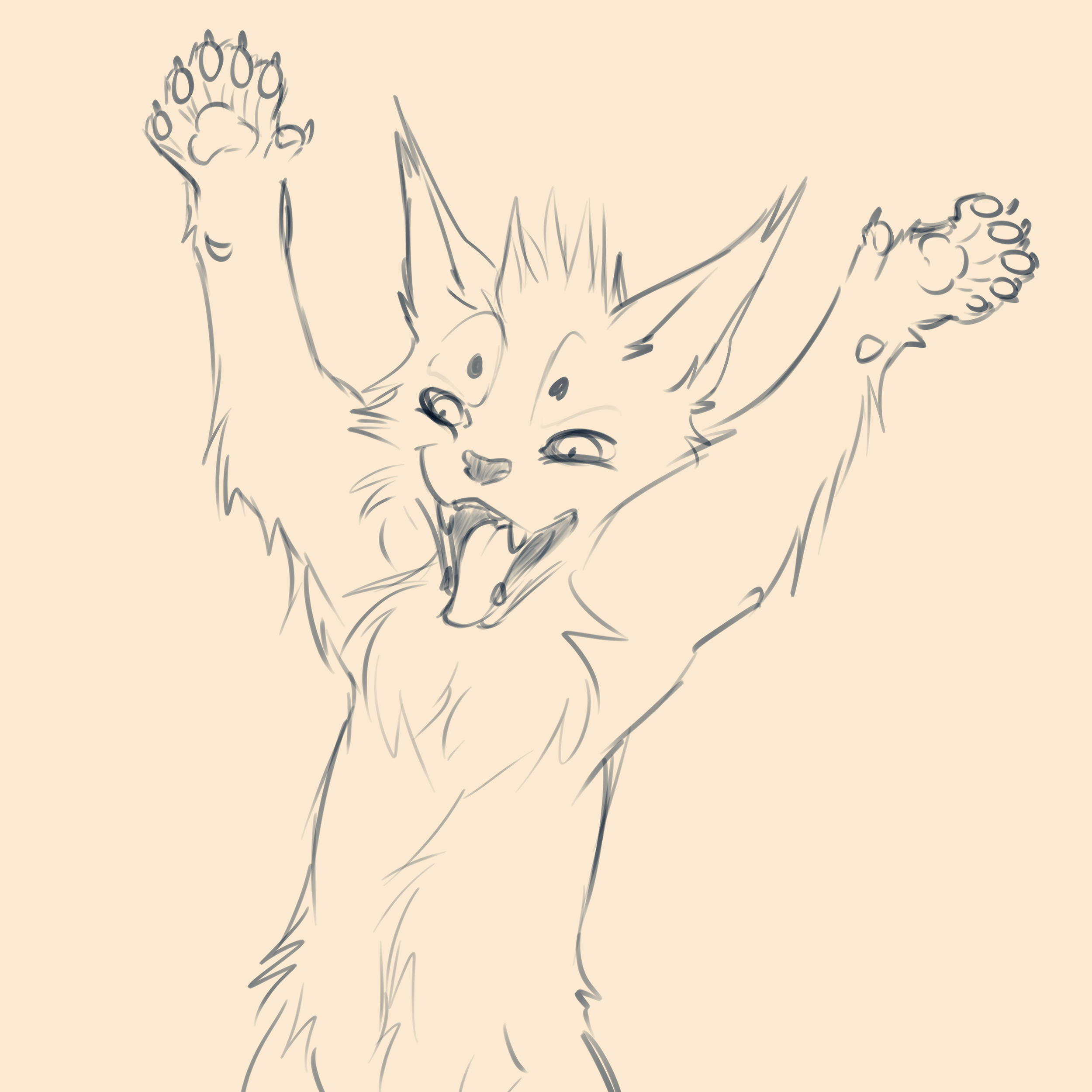 Maine Warmup.png