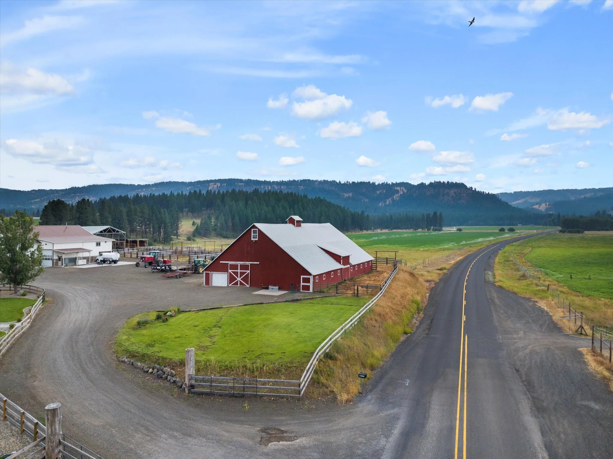 032-DJI_20240805180935_0170_D.jpg.jpg