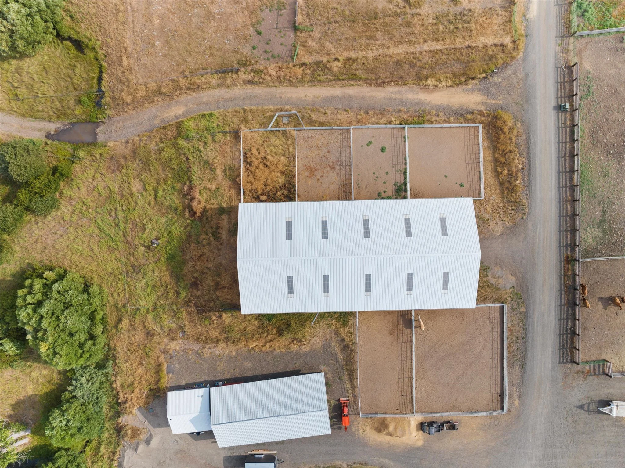 047-DJI_20240805183354_0390_D.jpg.jpg