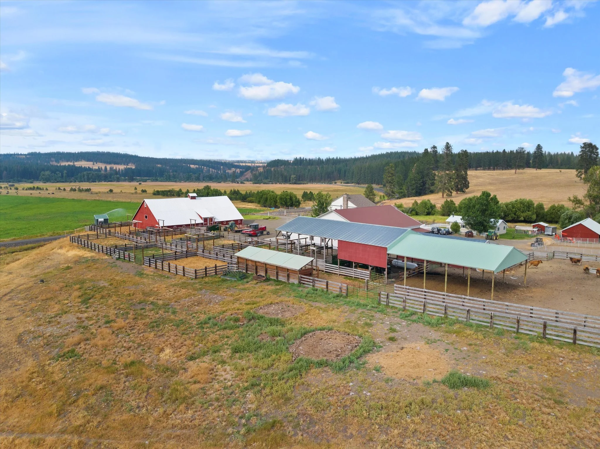 035-DJI_20240805181553_0228_D.jpg.jpg