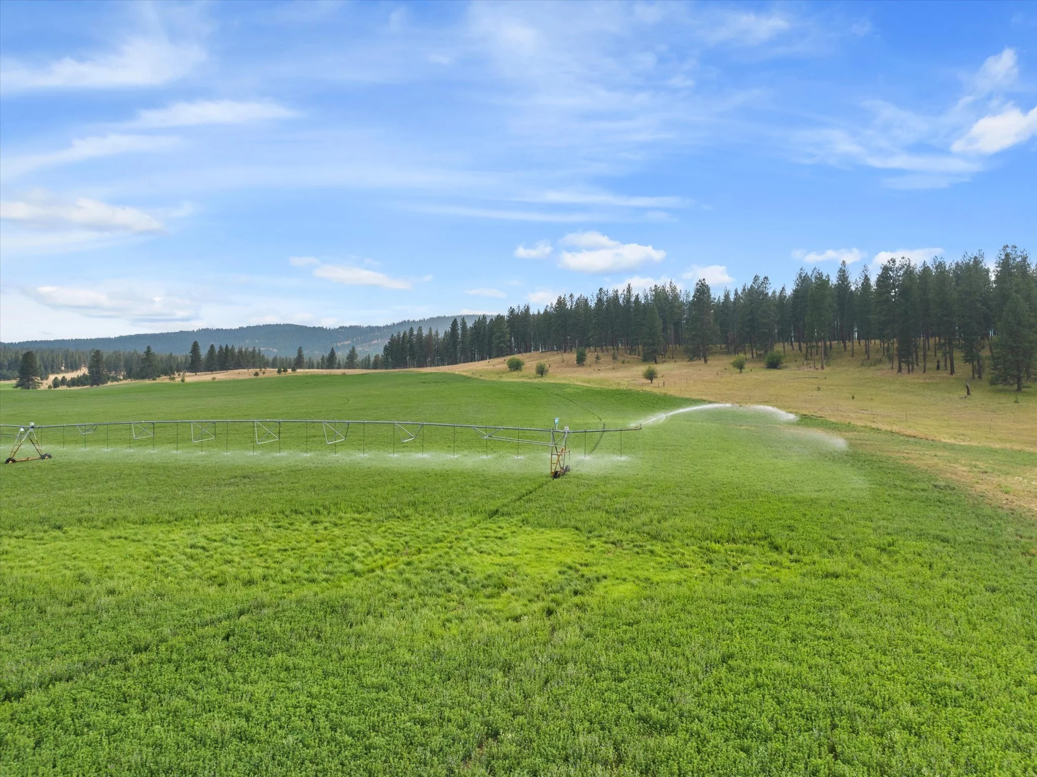 042-DJI_20240805183021_0355_D.jpg.jpg
