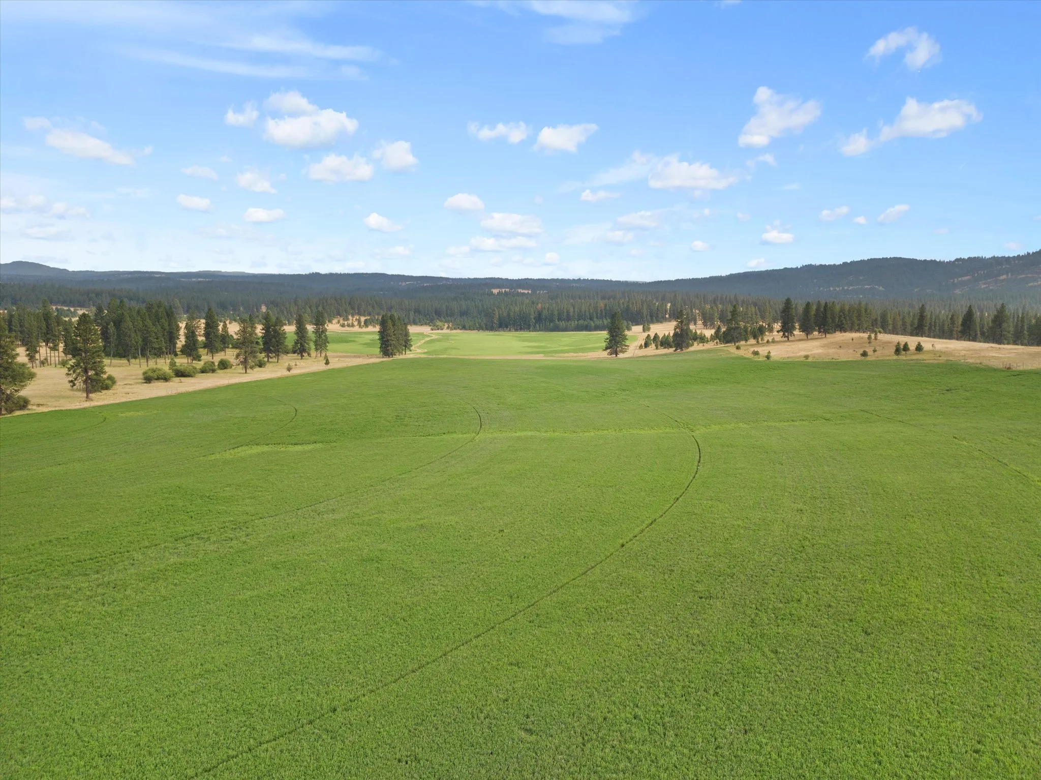 043-DJI_20240805183051_0360_D.jpg.jpg