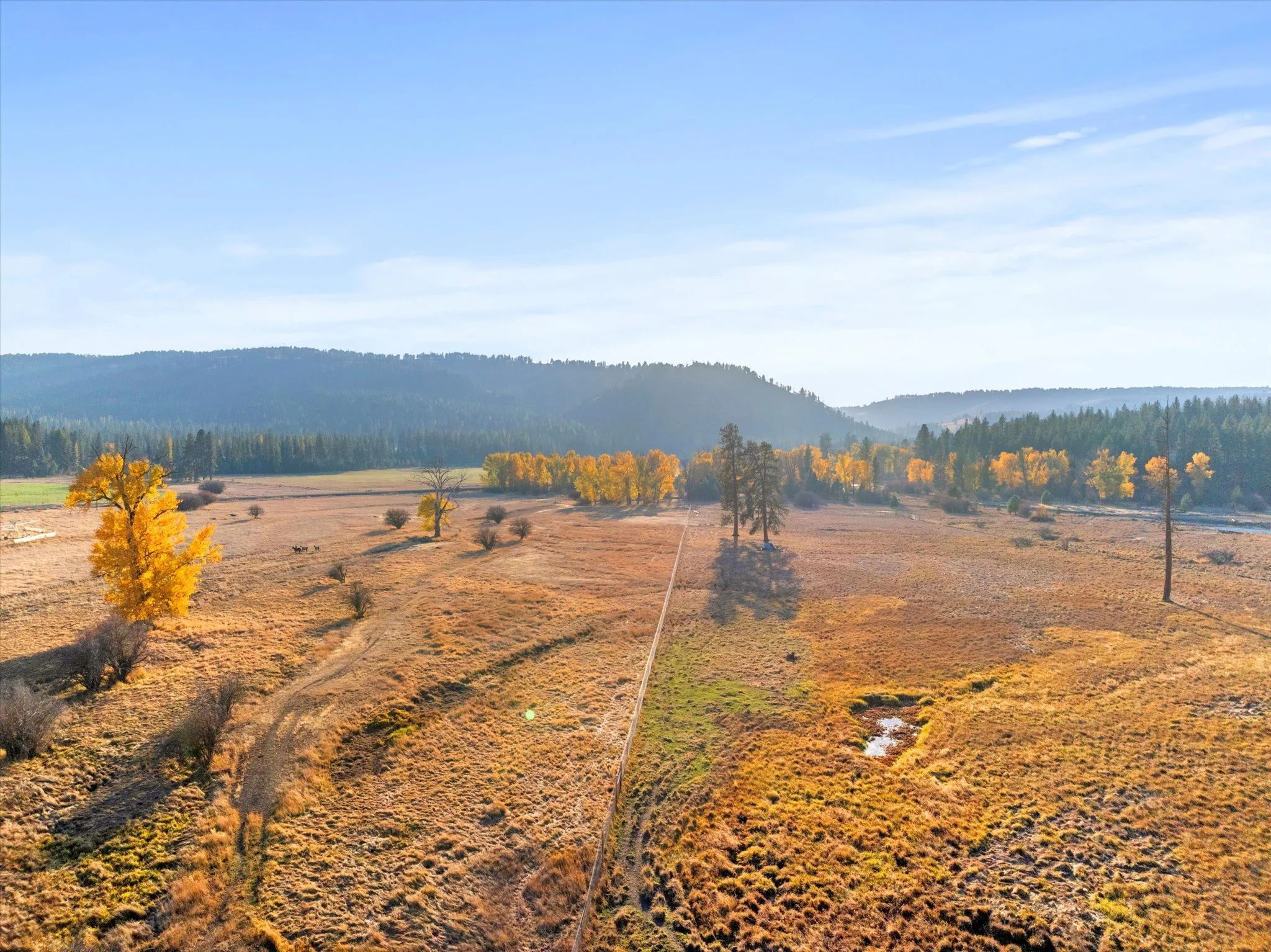 010-DJI_20241014163835_0759_D.jpg.jpg