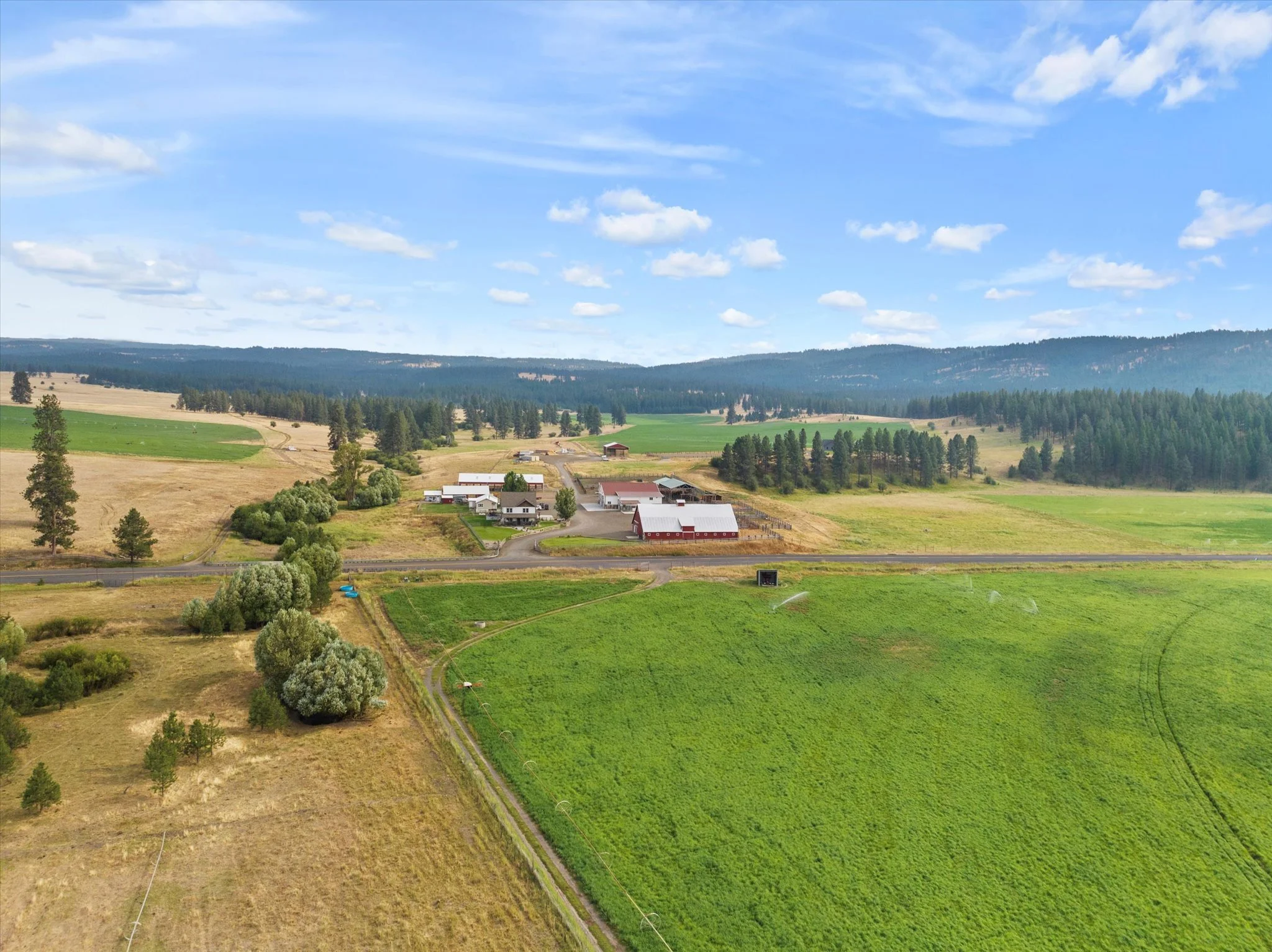 049-DJI_20240805183602_0410_D.jpg.jpg