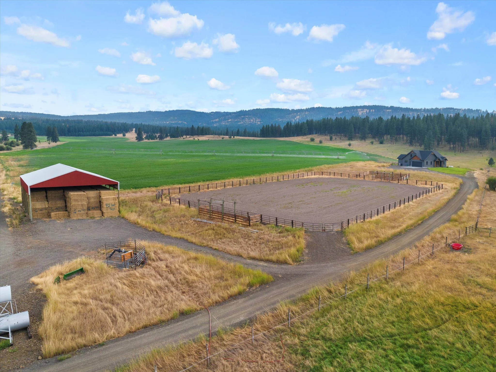 039-DJI_20240805182538_0285_D.jpg.jpg