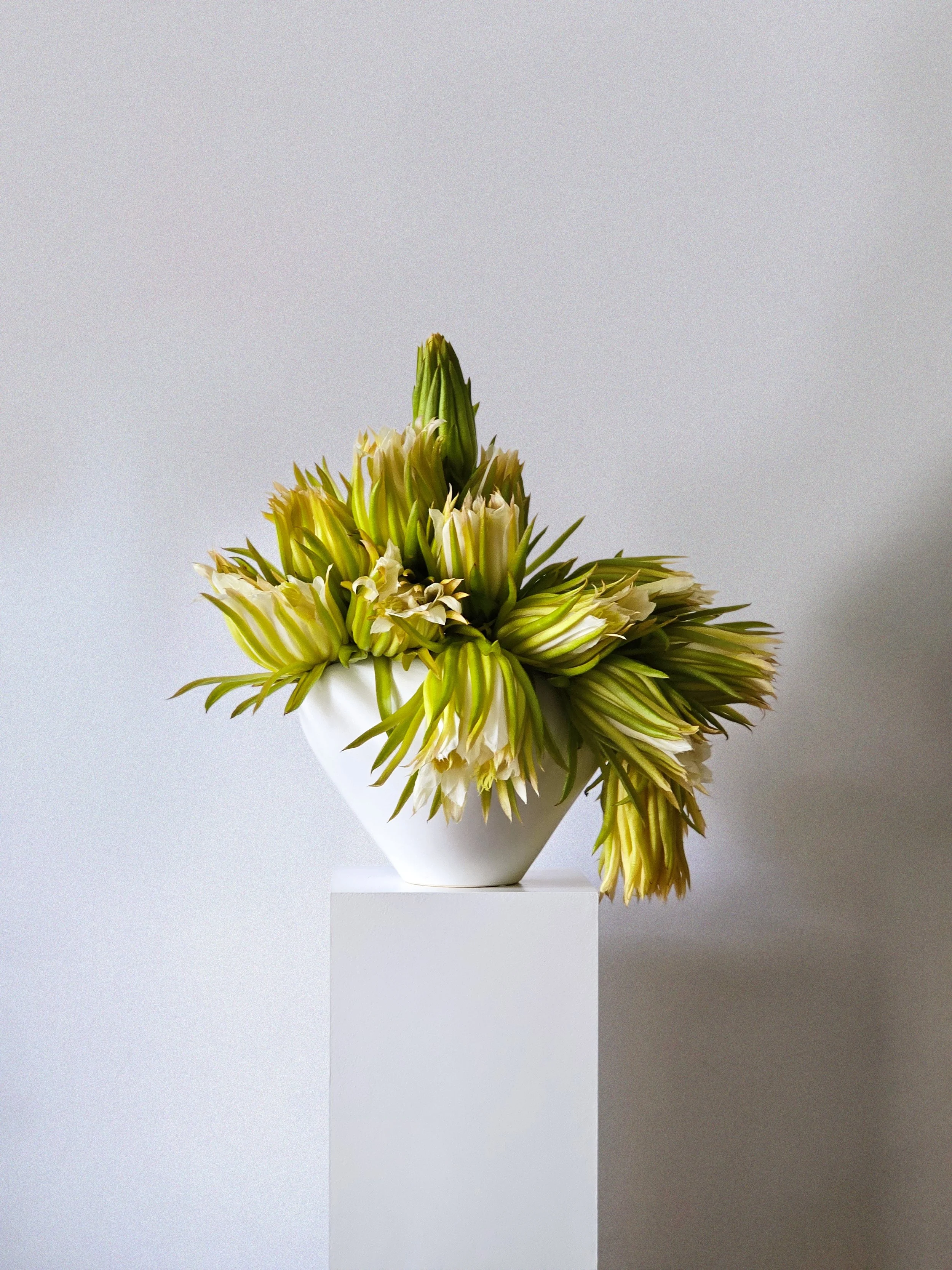 Creative flower arrangement with cactus flowers