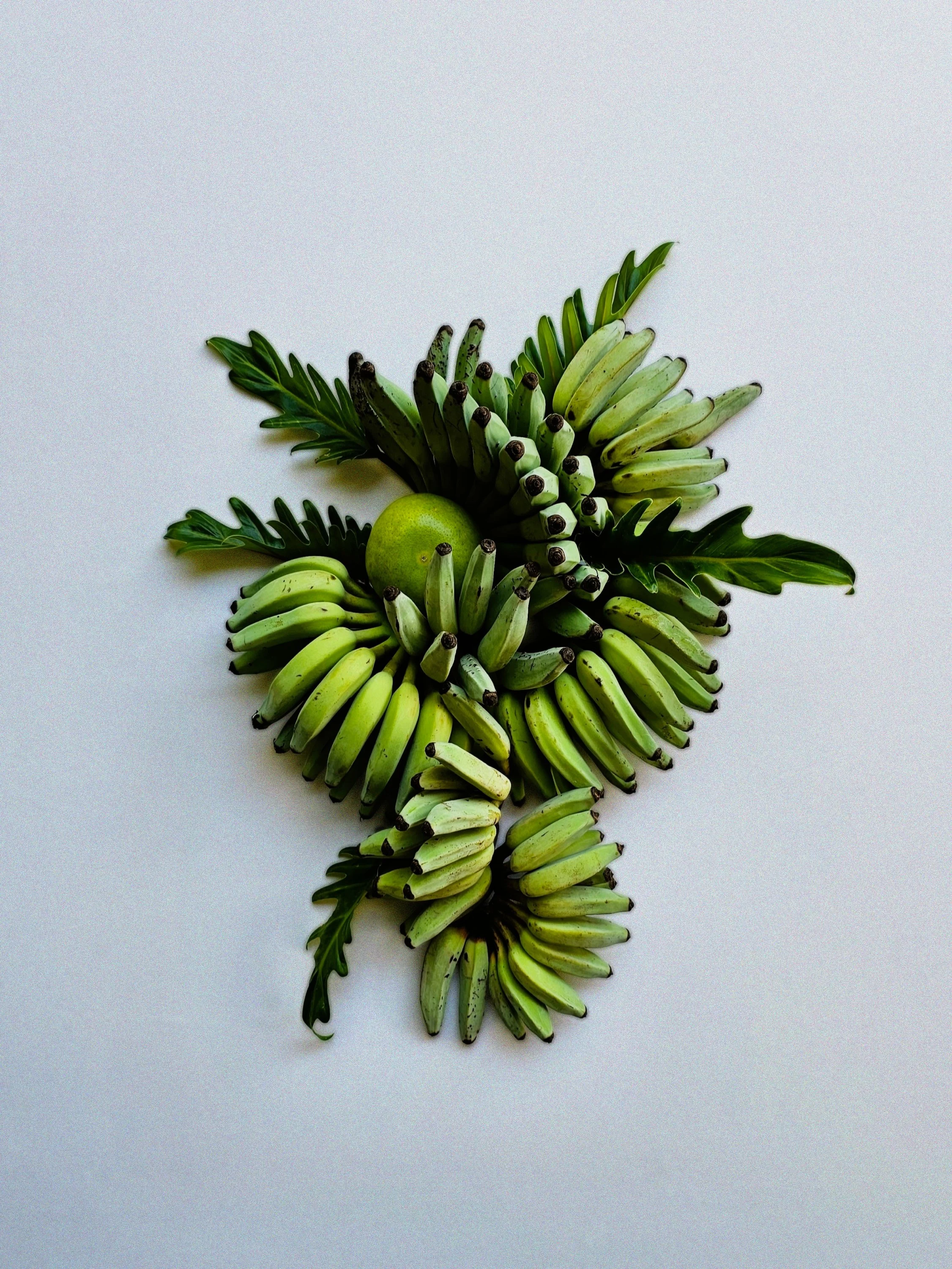 Flat lay still life with tropical fruit and flora