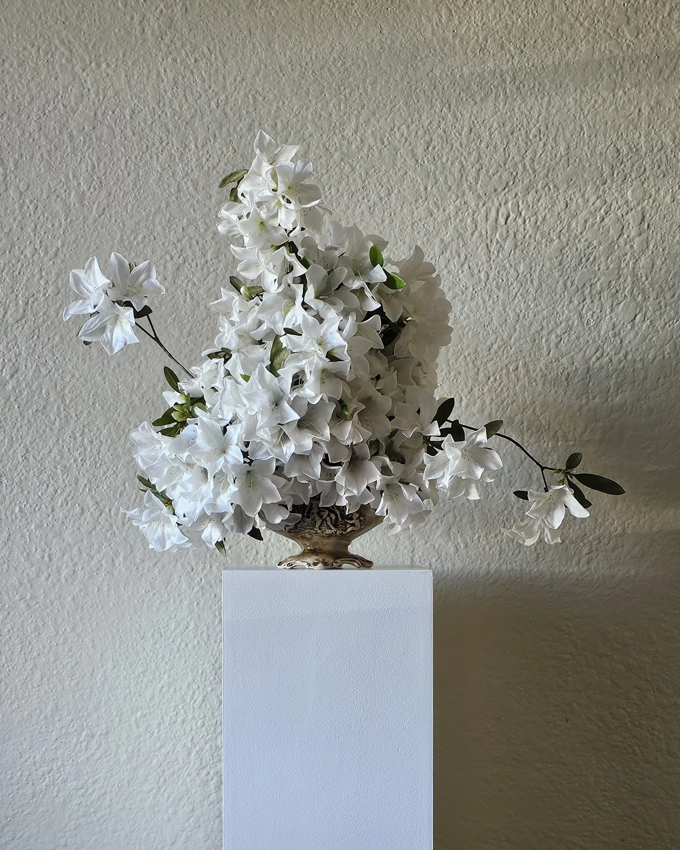 Camellias of Brisbane in creative floral arrangement