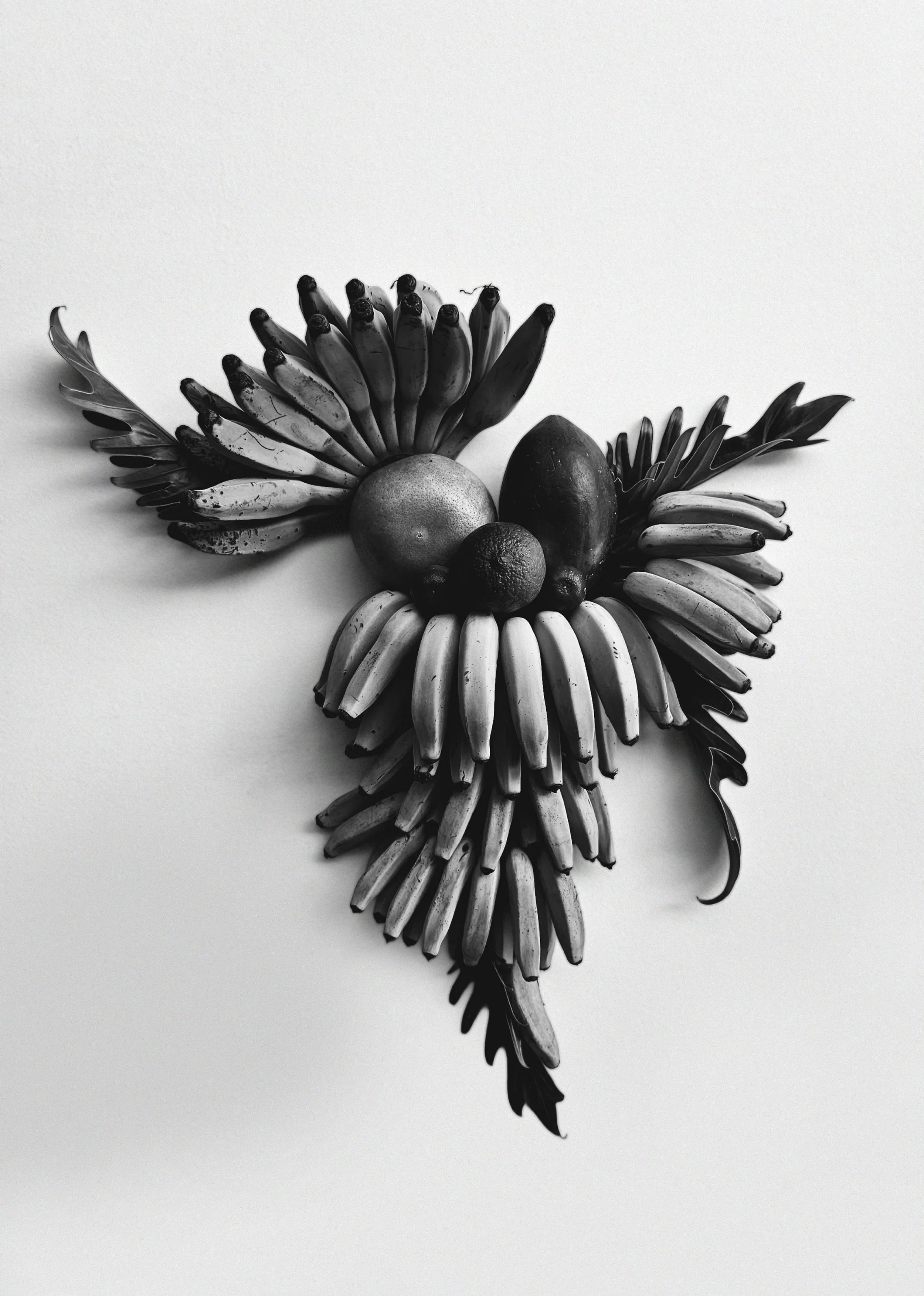 Fruit arrangement creative still life with bananas
