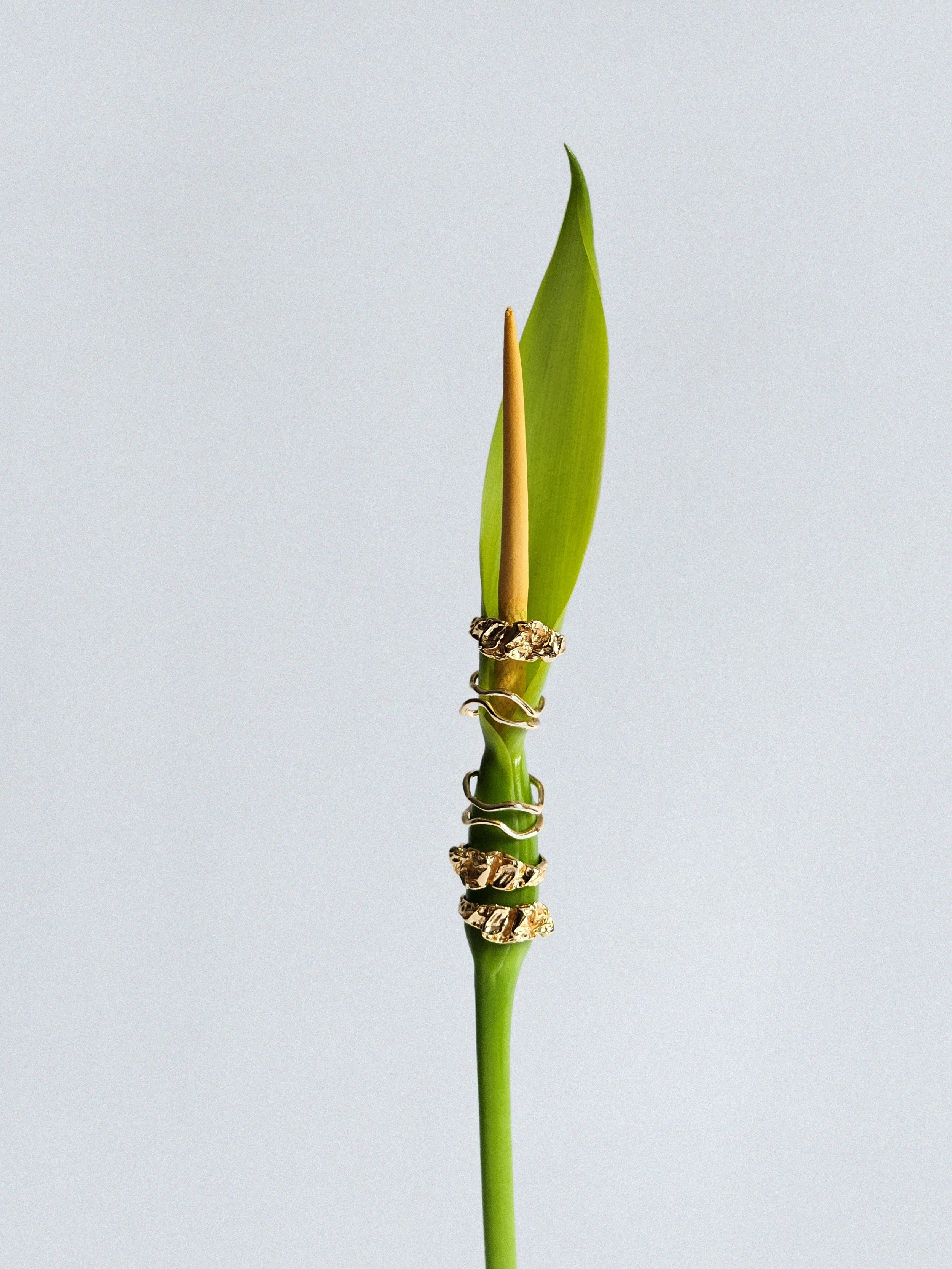 flower and rings